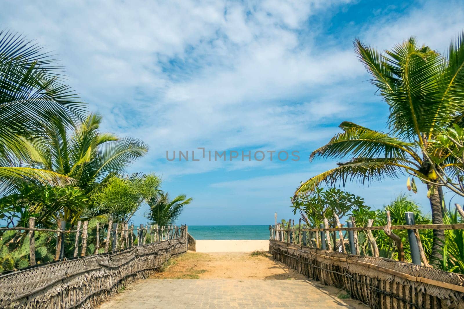 track to the beach at Arugam Bay, Sri Lanka