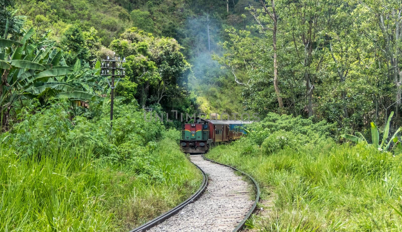 local train in Ella mountain in Sri lanka