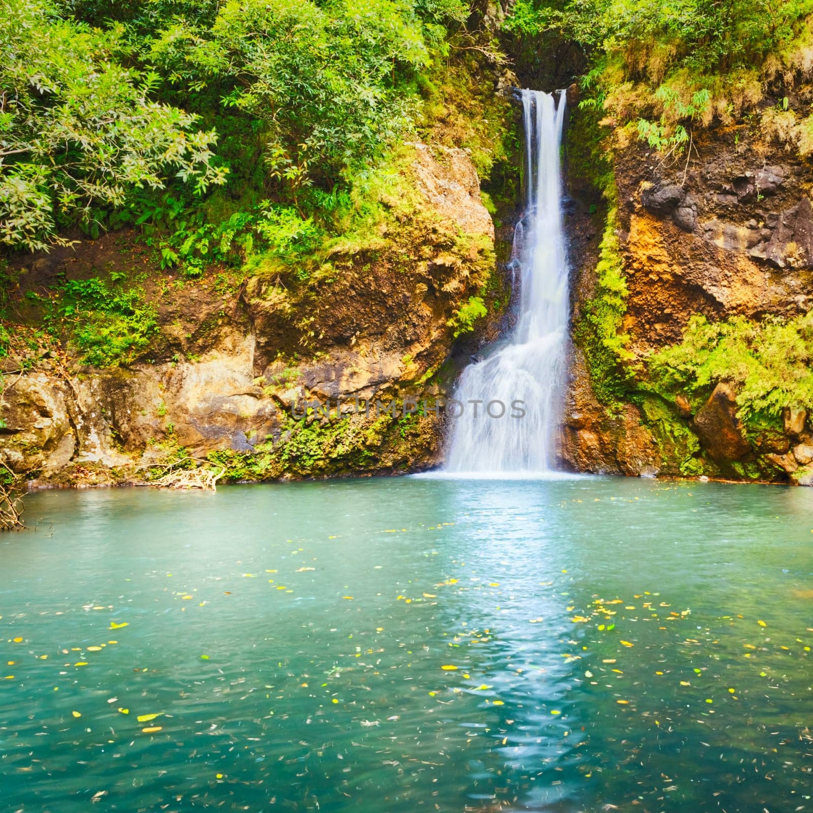 Scenic Cascade Chamouze waterfall. Mauritius island