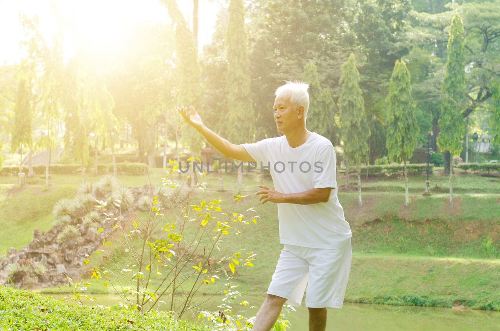 Portrait of healthy grey hair Asian old man practice martial arts at outdoor park in morning.