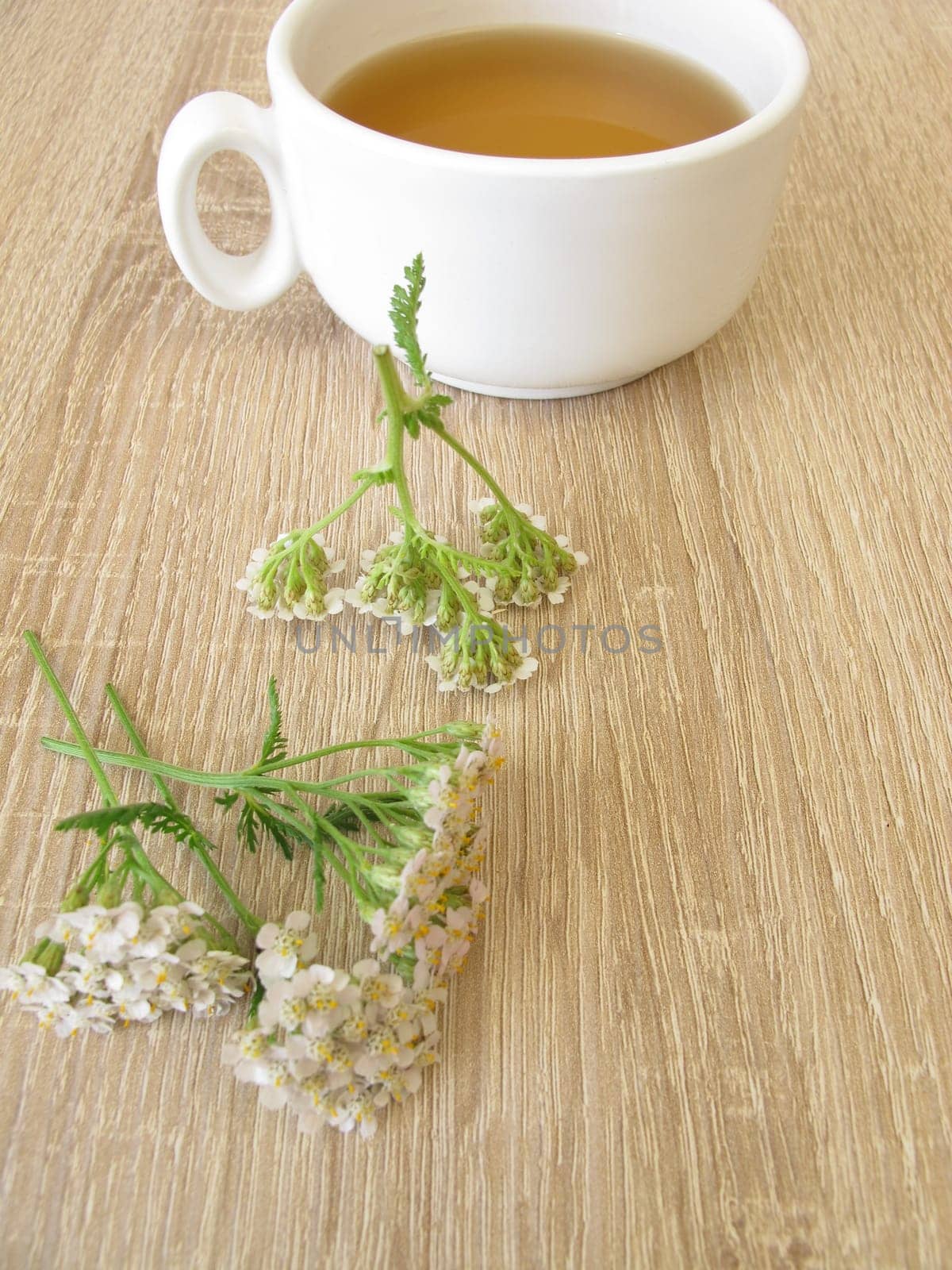 Herbal tea with yarrow