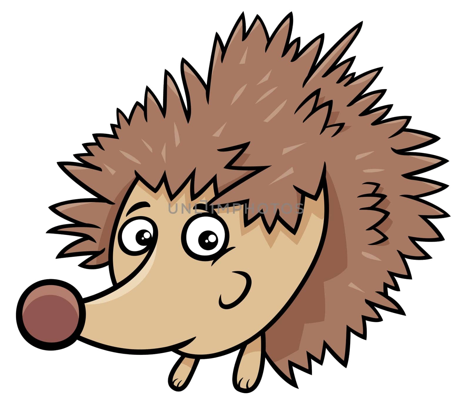 Cartoon illustration of Hedgehog Comic Animal Character