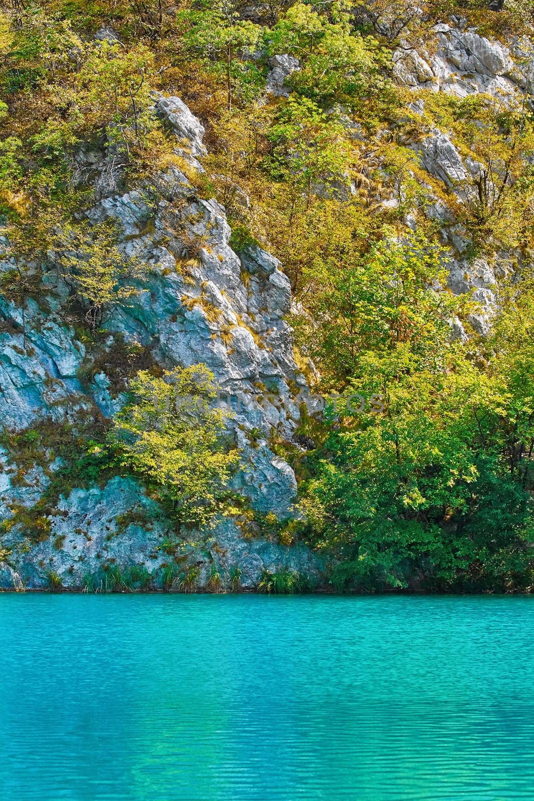 Lakes in the Plitvice National Park, Croatia