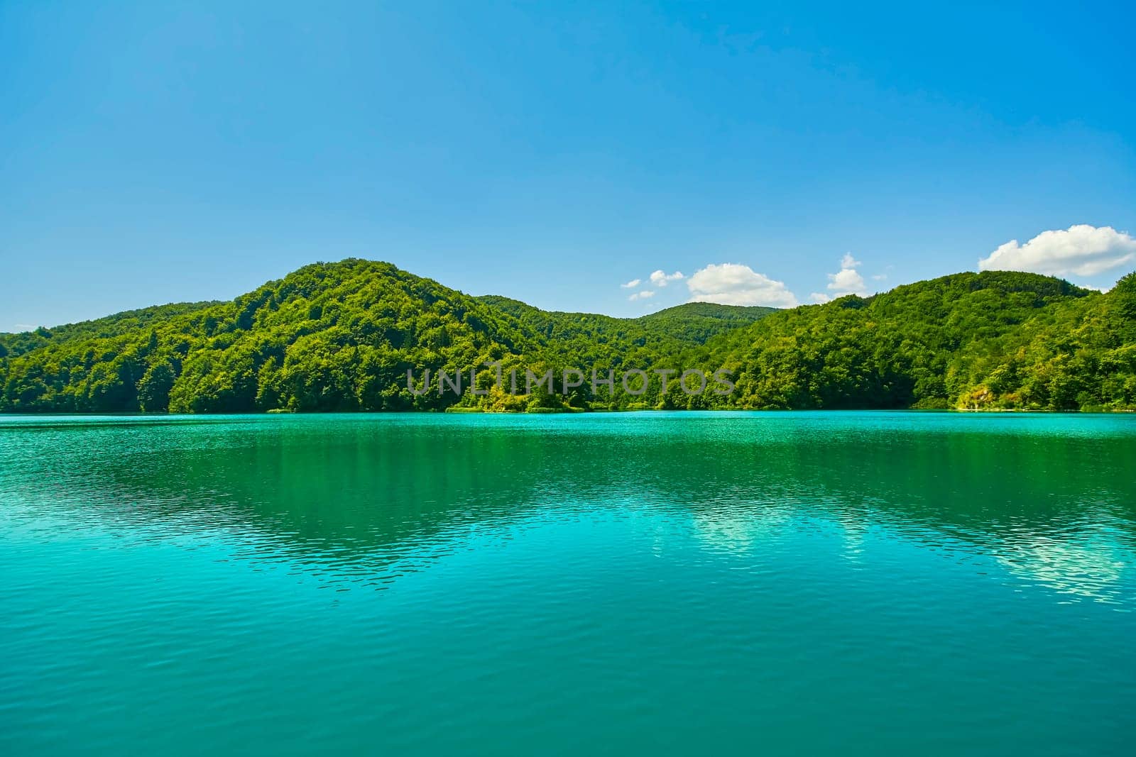 One of the Lakes in Plitvice National Park, Croatia