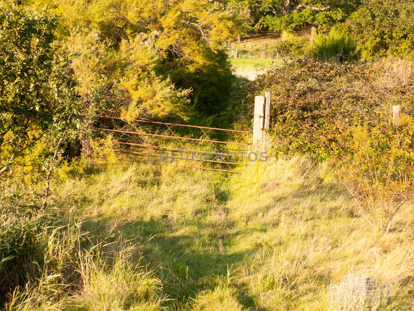sunset light over a country grass land path scene with rusty old gate to farm in distance  England  Essex