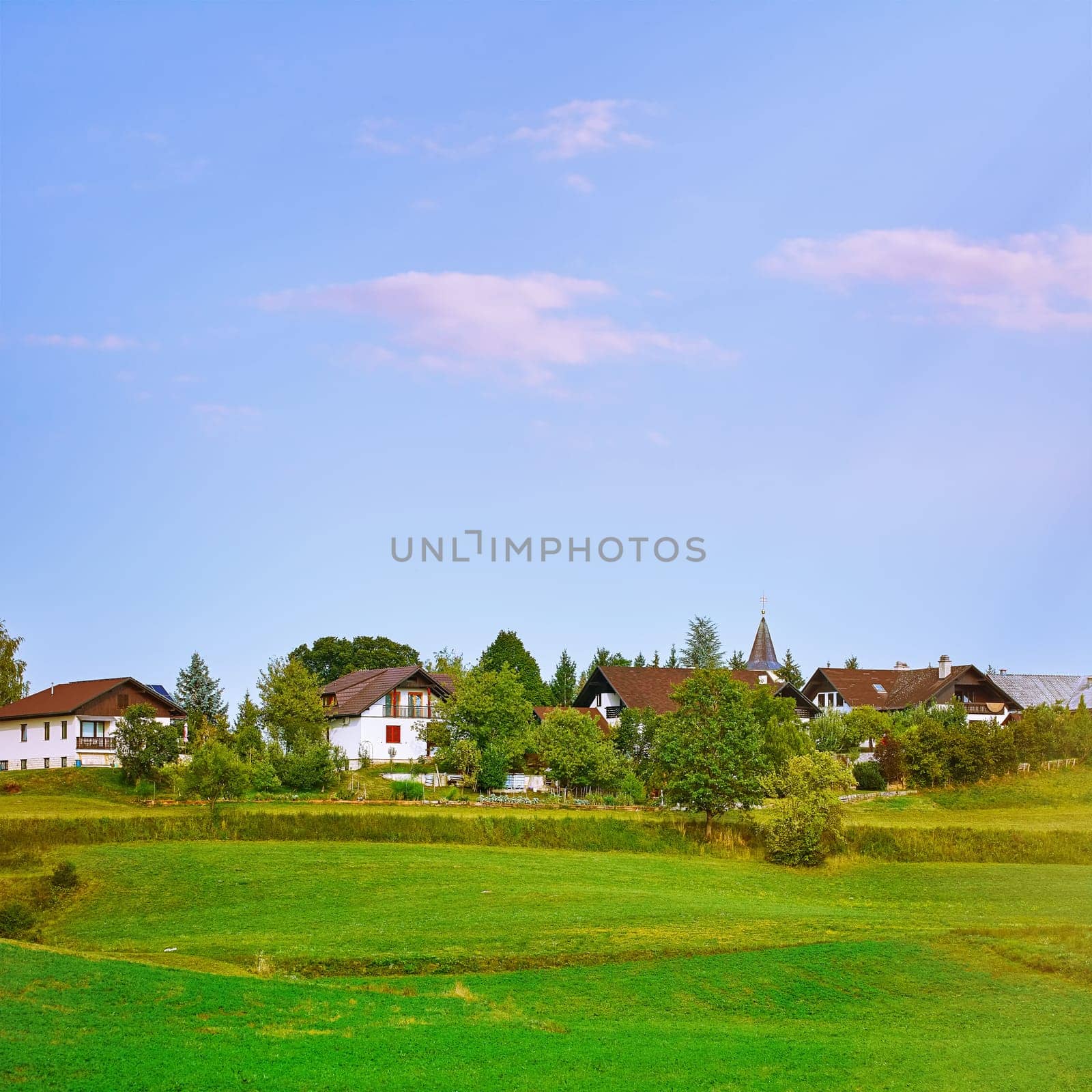 Houses of Small Town in Slovenia