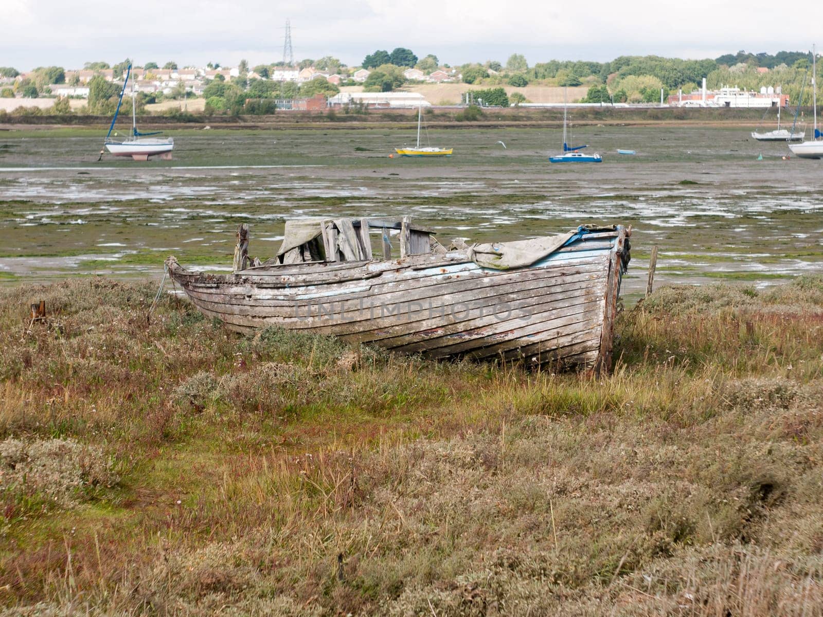 old wooden boat ruins decaying abandoned estuary scene
