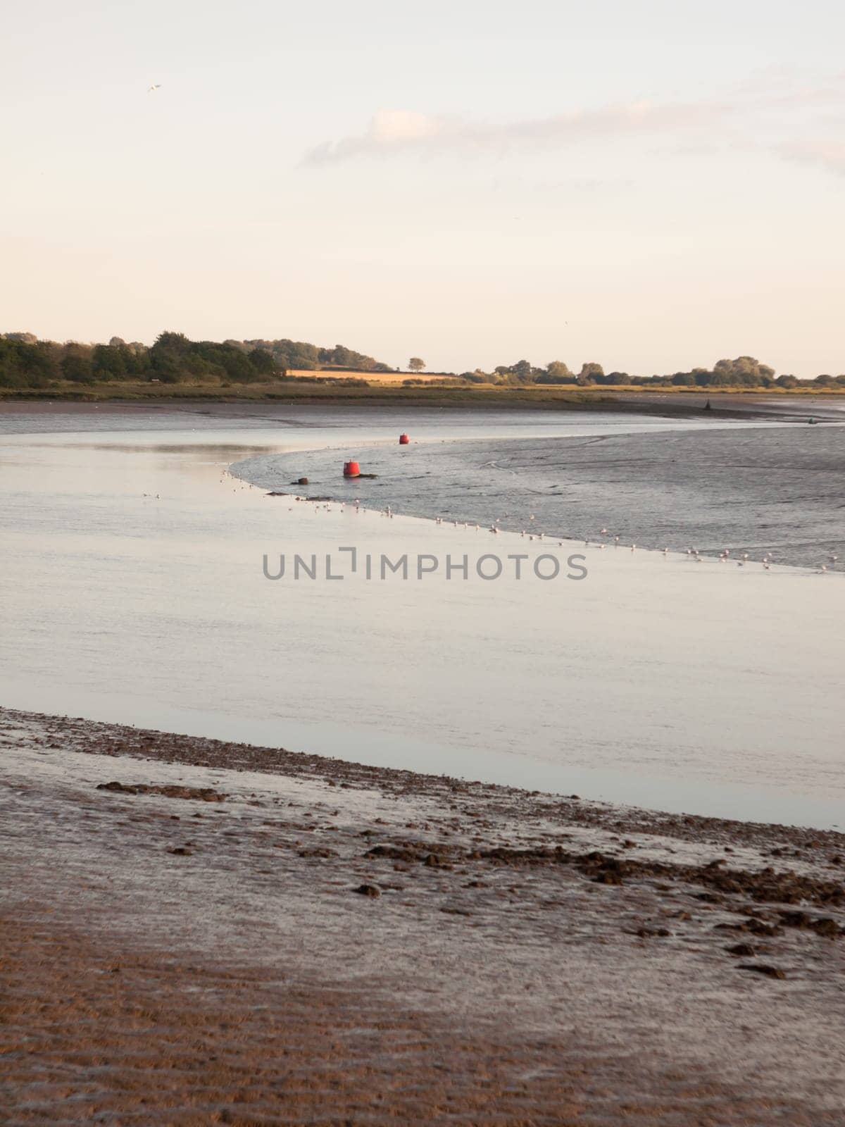 river country scene landscape with wader birds tide out and mud flats  England  Essex
