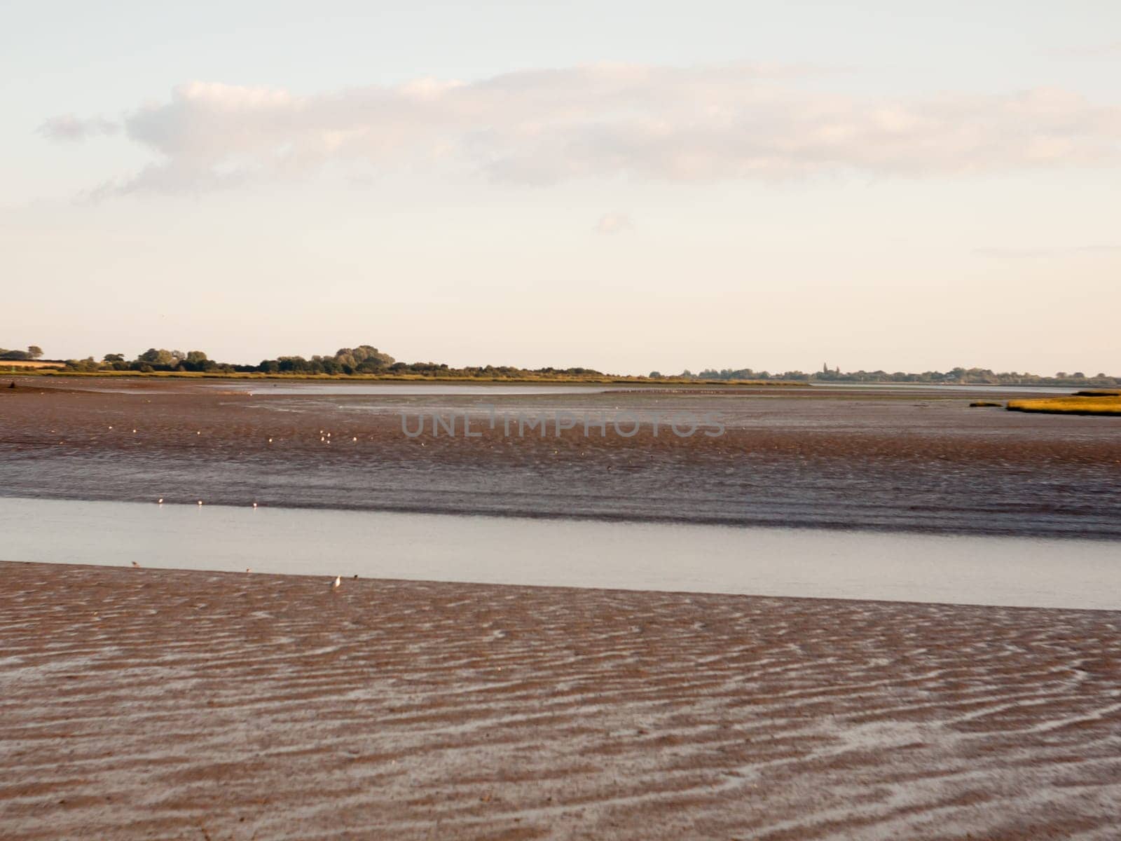 landscape of mud flats in essex with river tide out no people wader birds  England  Essex