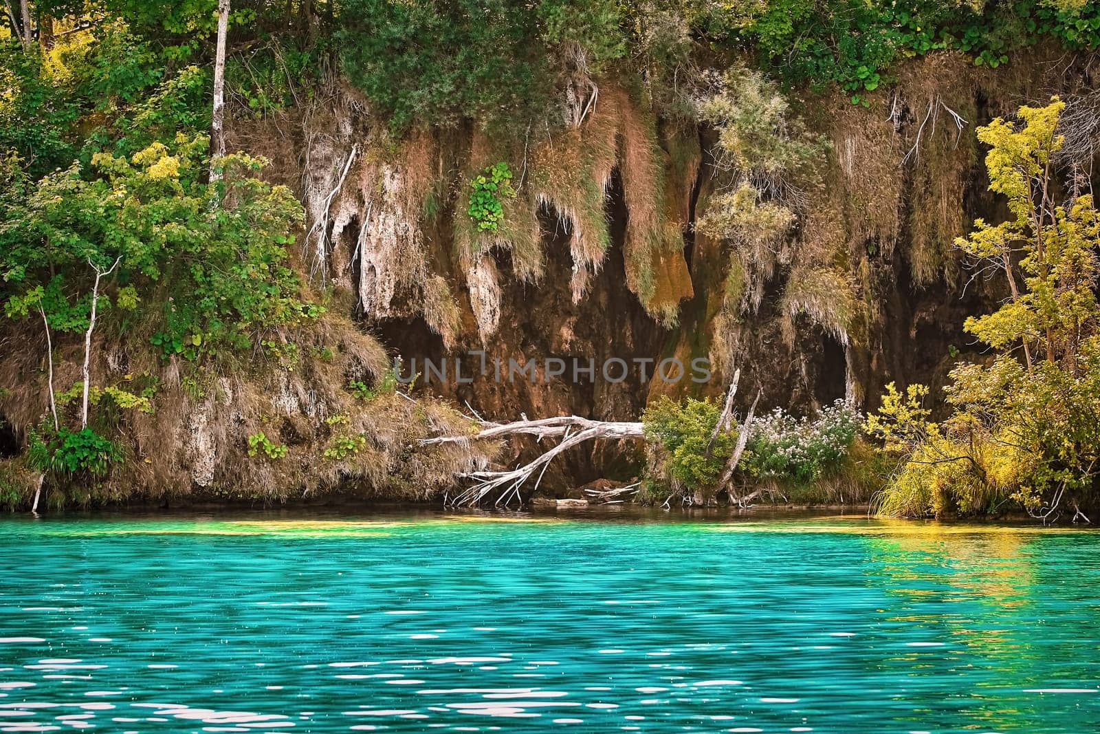 One of the Lakes in Plitvice National Park, Croatia