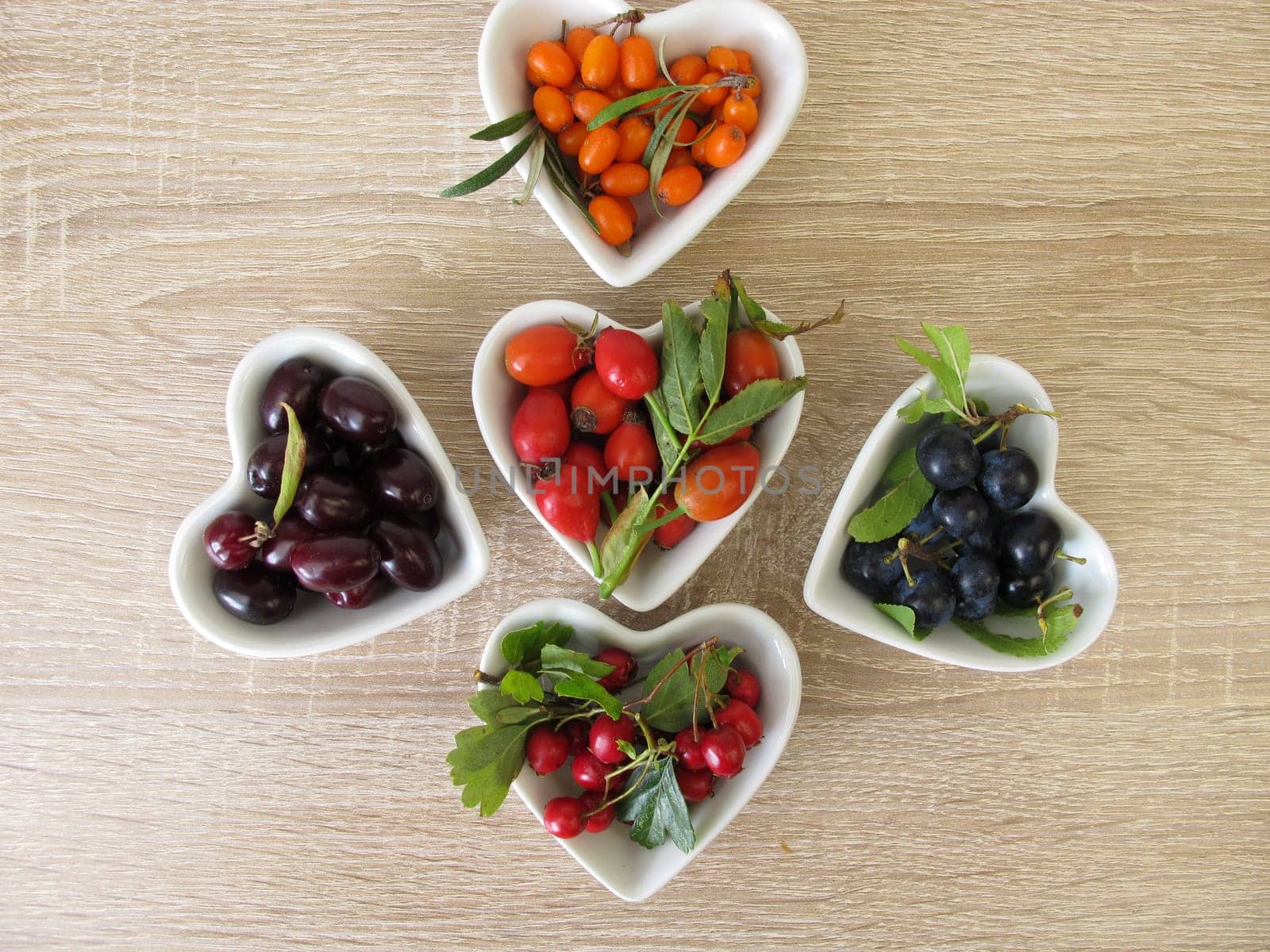 Wild fruits in autumn with cornelian cherries,sea buckthorn,rose hips,sloes and hawthorn