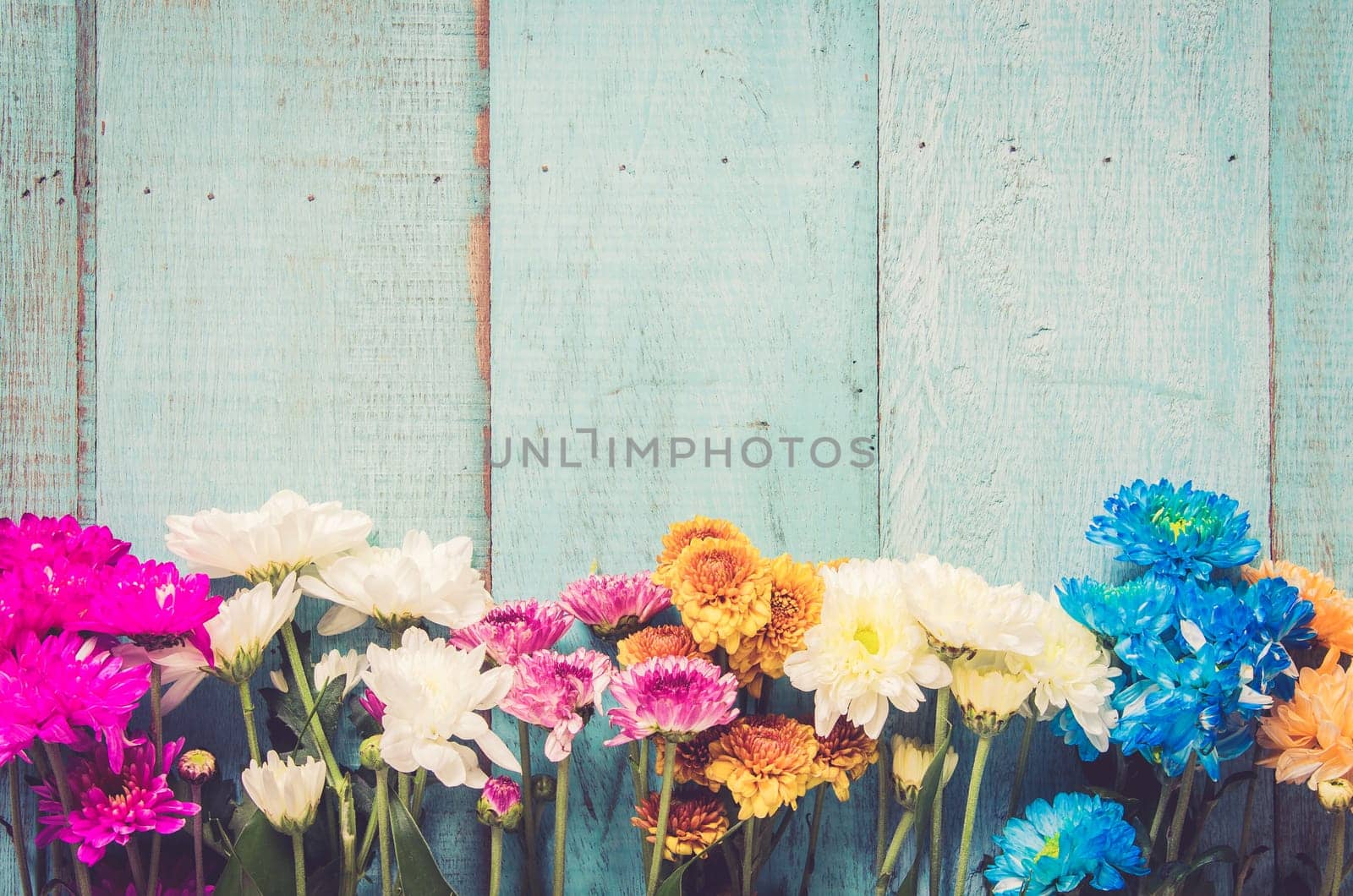 Colorful flowers on blue wooden background. Festive greeting card top with copy space, flat lay. Vintage tone filter.