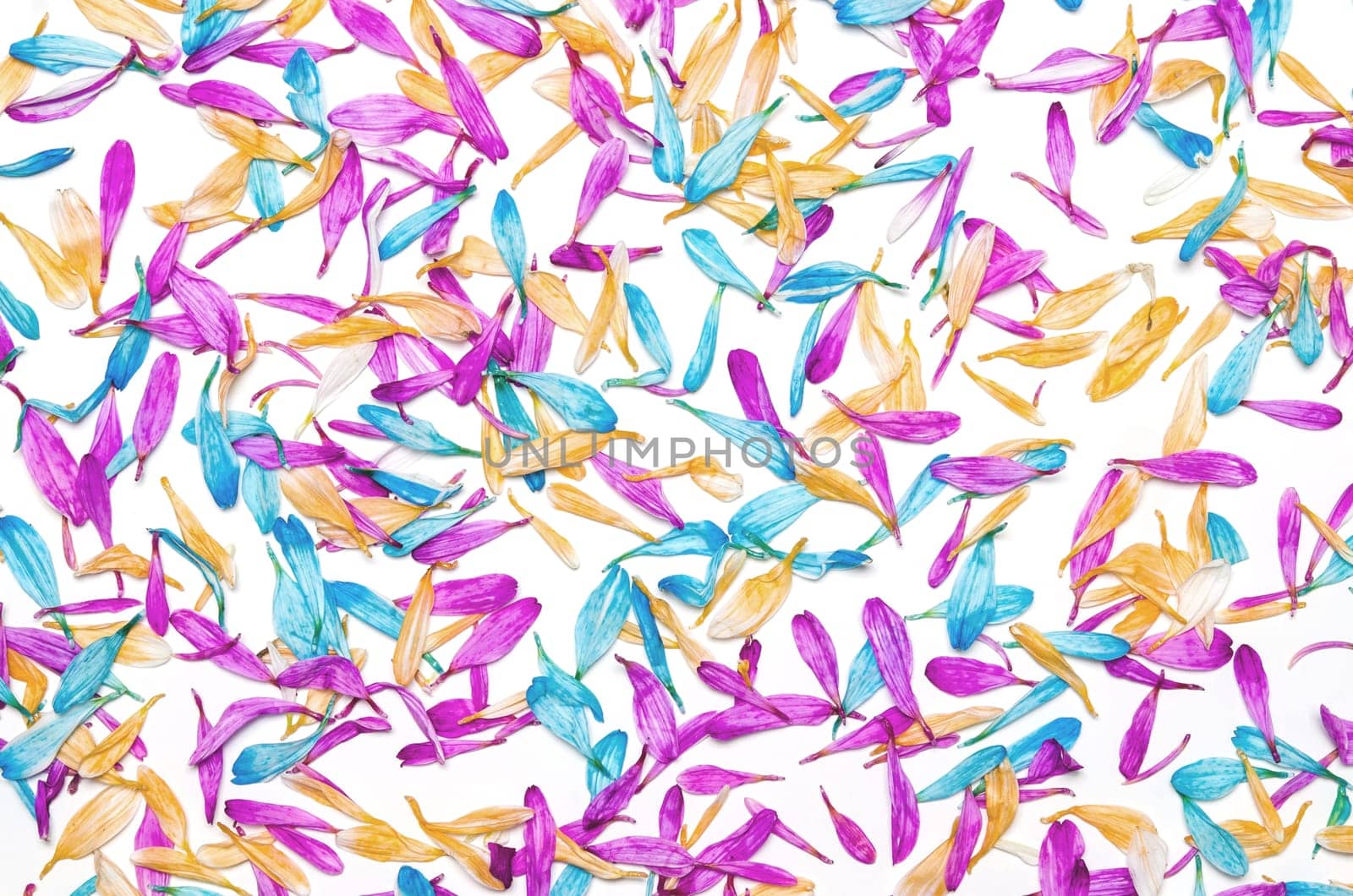Colorful flowers pattern on white background. Festive greeting card, flat lay.