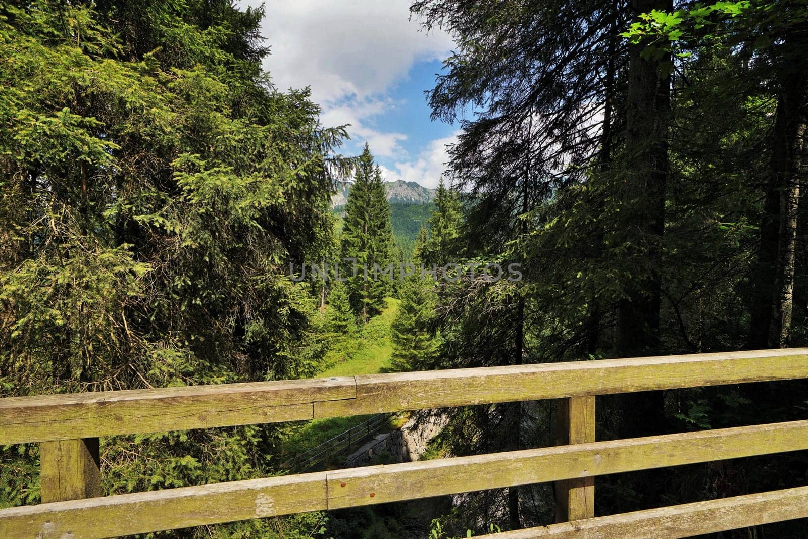 Bridge in the Tyrolean Alps