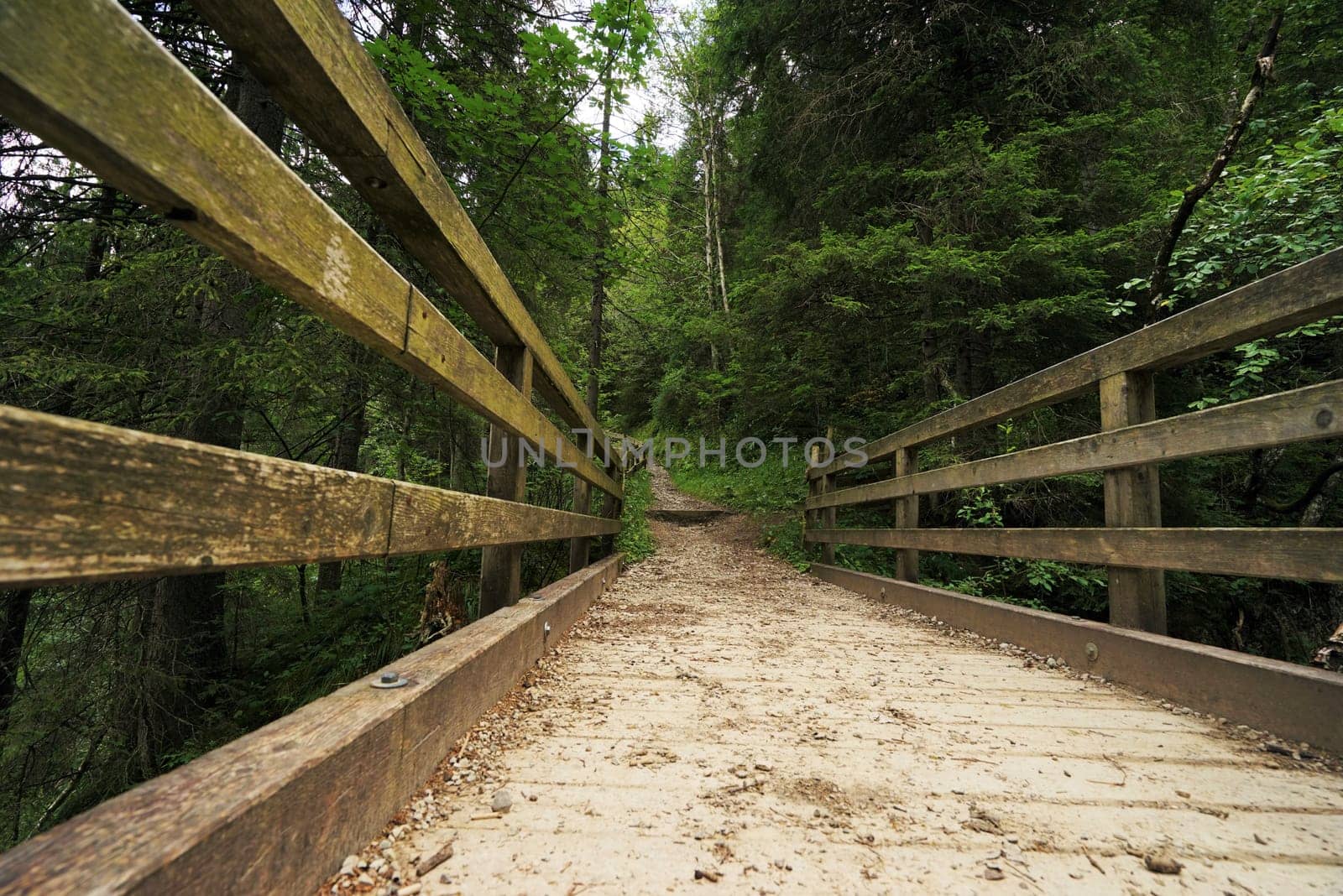 Bridge in the Tyrolean Alps