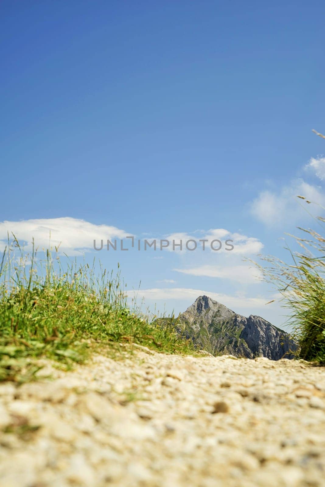 Trail in the Tyrolean Alps