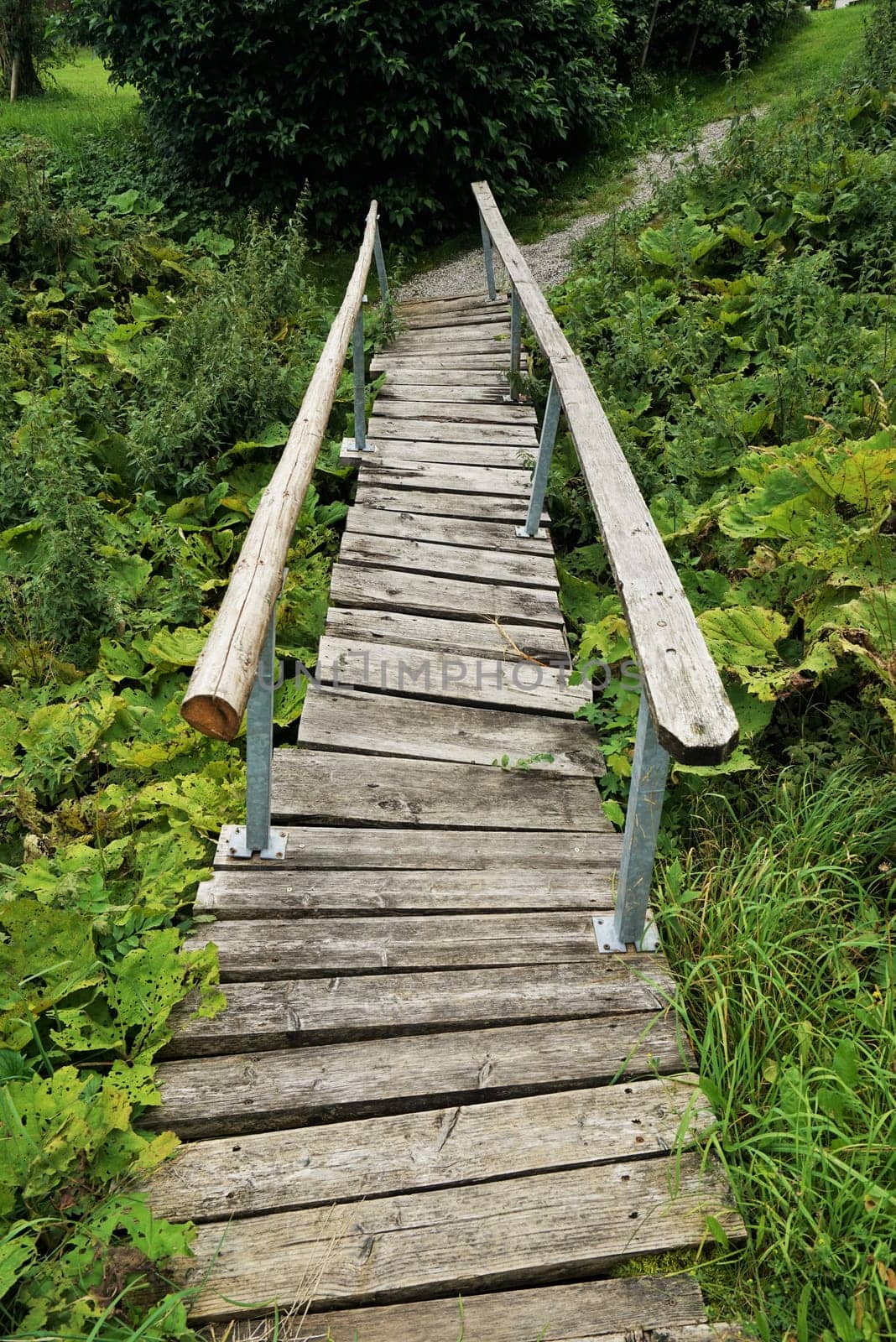 Wooden bridge
