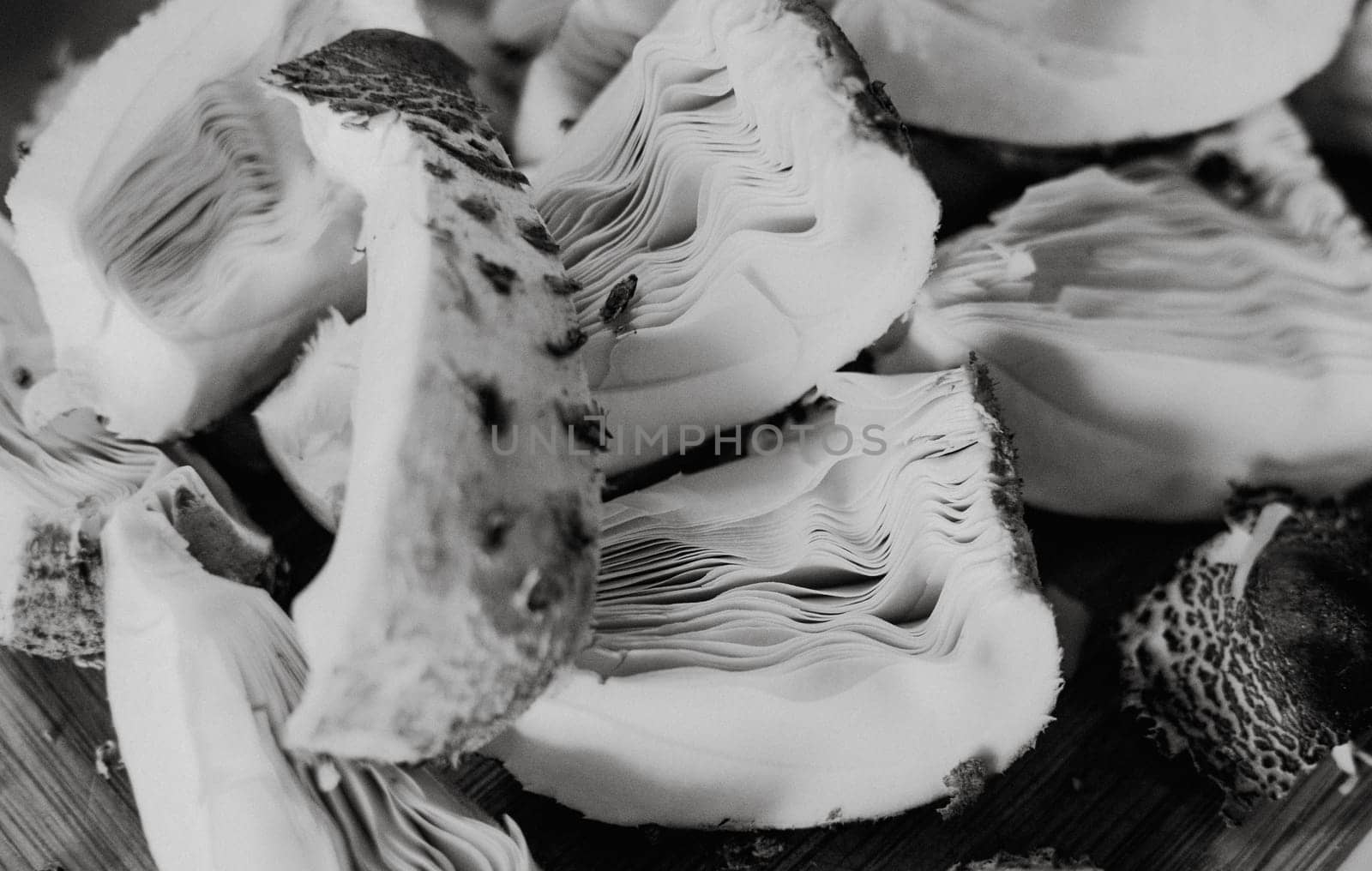 pieces of umbrella macrolepiota procera mushroom,ready to dry,black and white