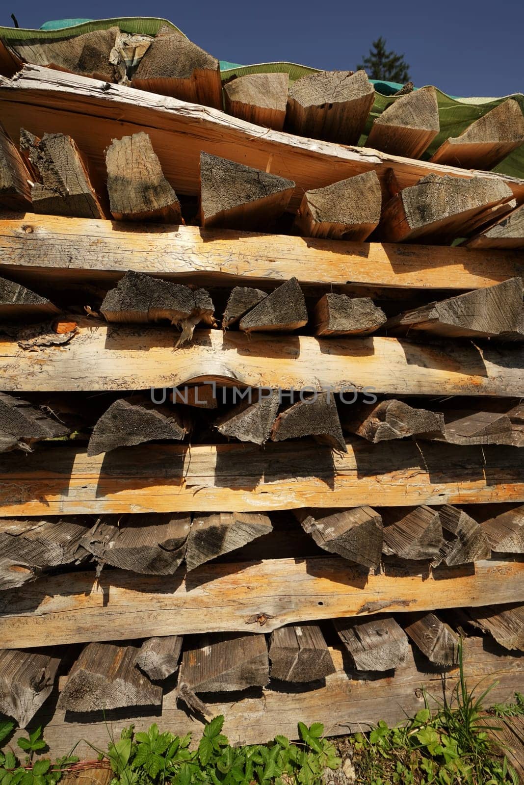 Piles of wood on a meadow