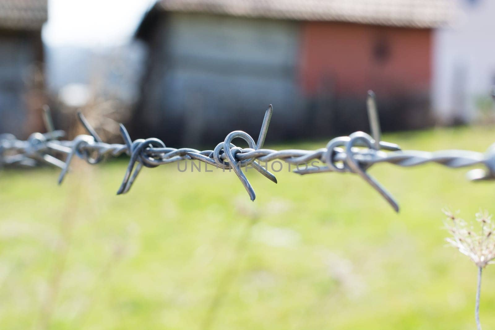 close-up the barbwire on the fence building. Blurred green background