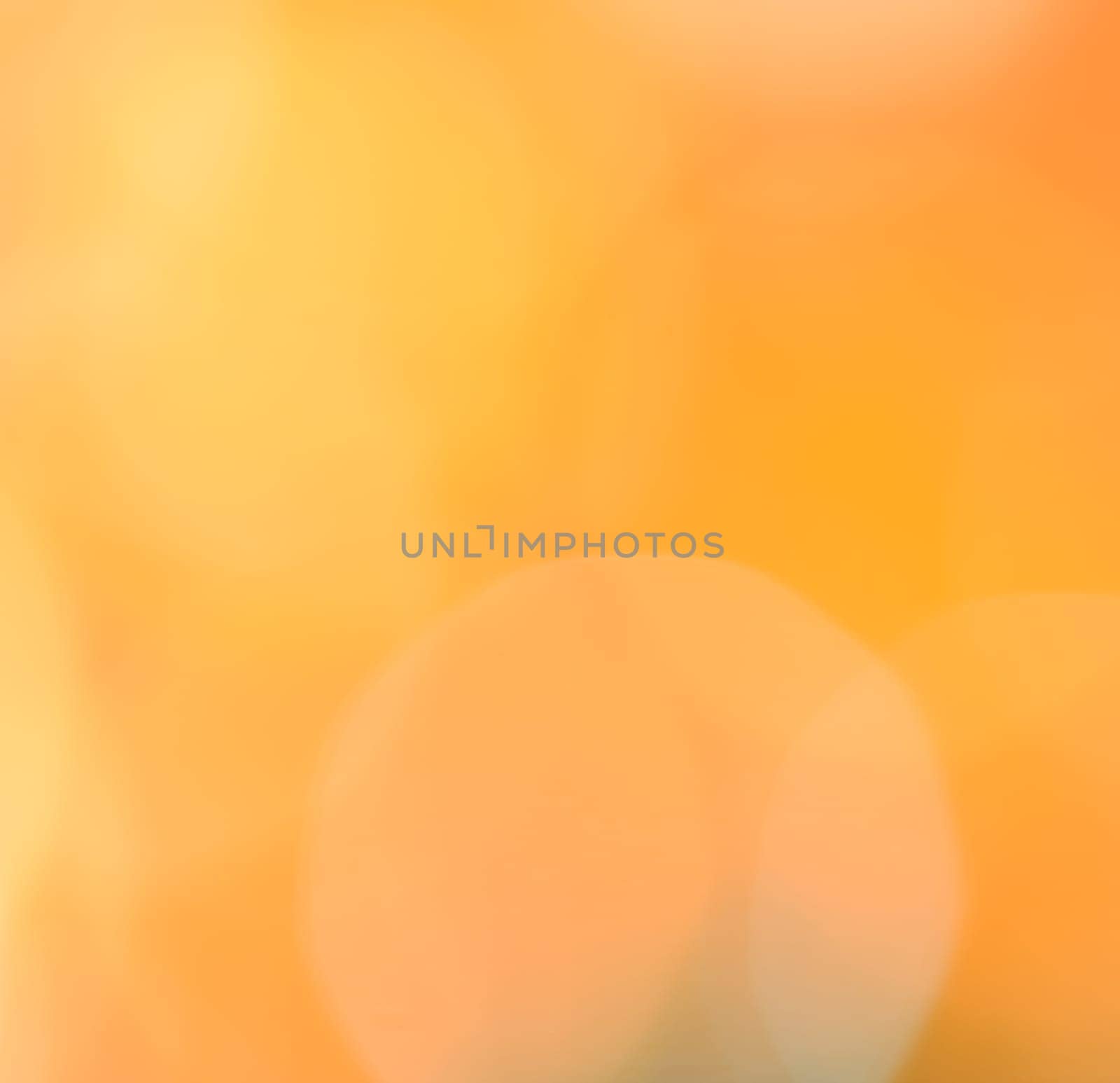 Yellow bokeh abstract background of de-focused Christmas lights