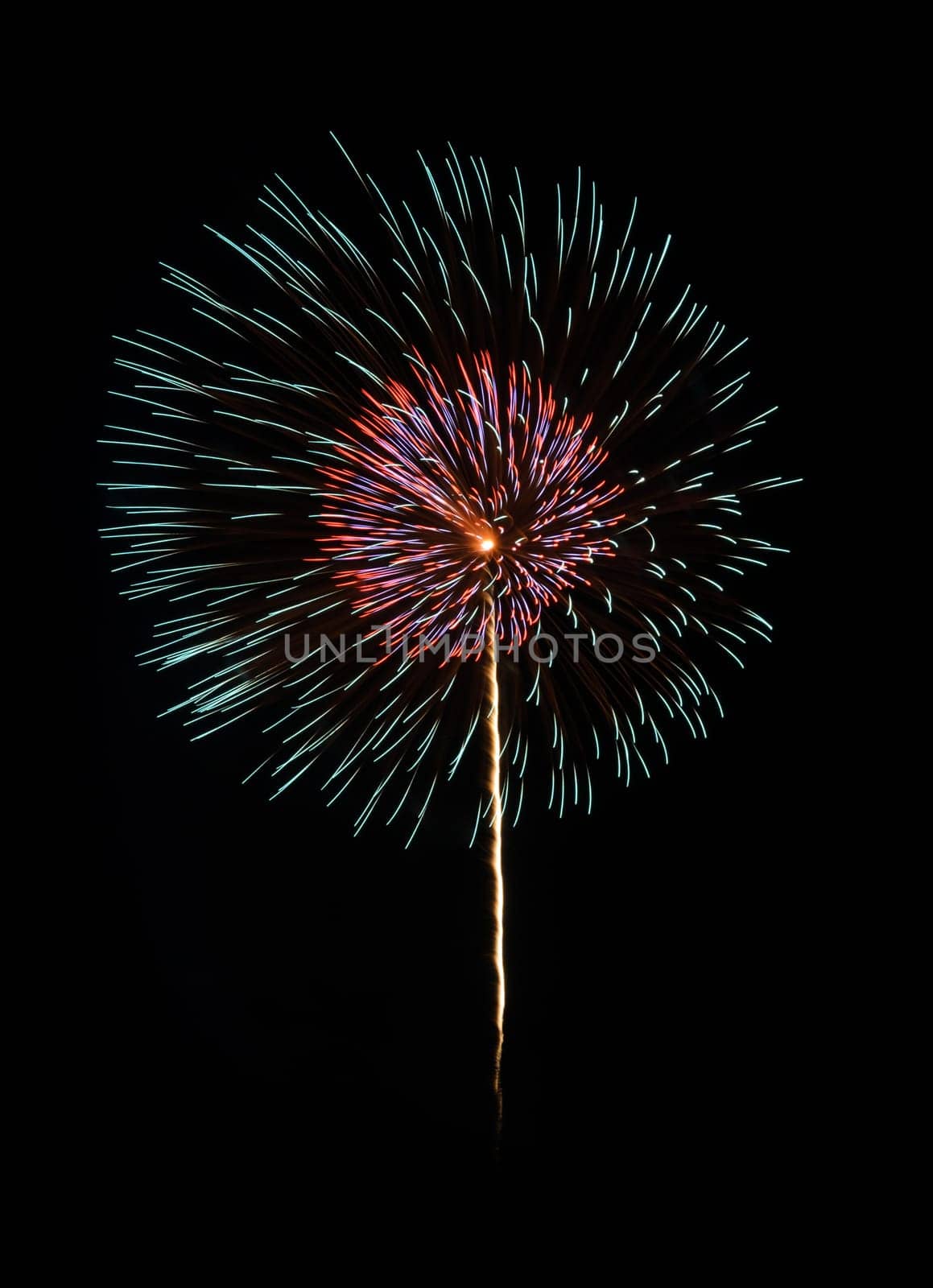 Colorful fireworks on night sky background