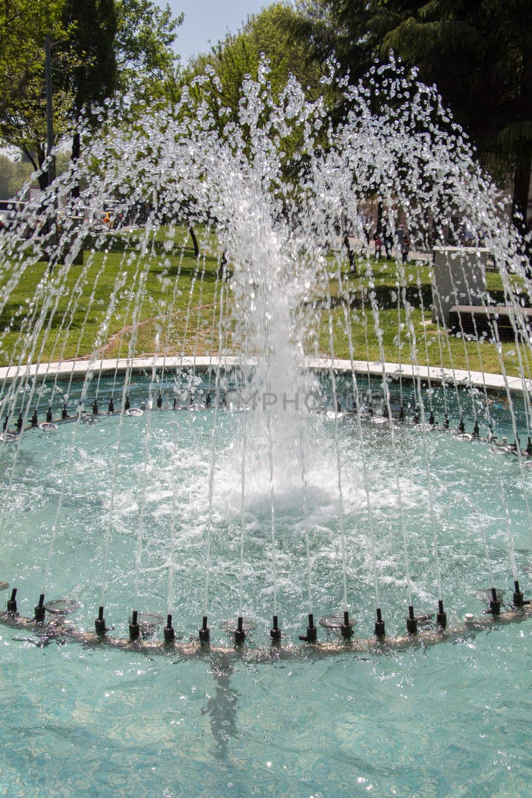 The fountains gushing sparkling water in a pool in a park