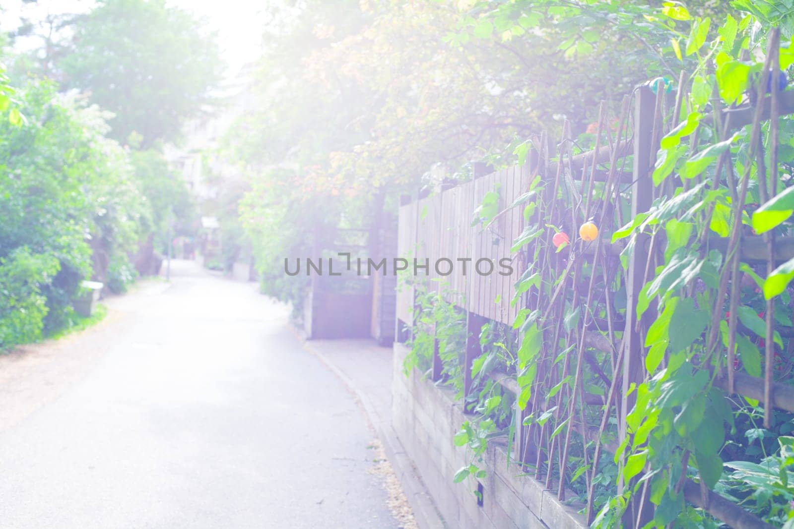 Farm, cozy green rural street, Paradise place, blur background, Stockholm, Sweden