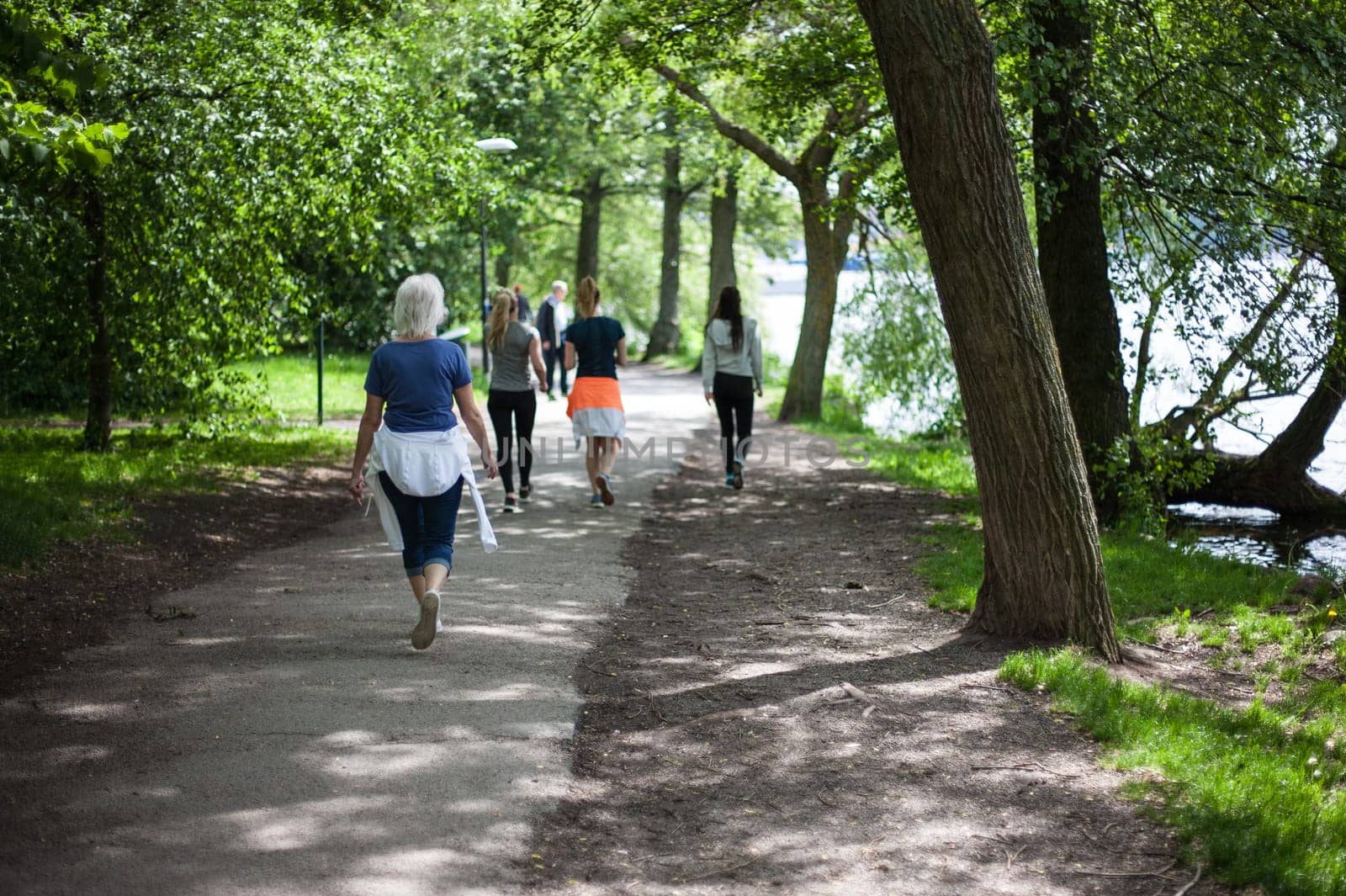 Powerful happy elderly people are walking, running early in the park Stockholm, Sweden