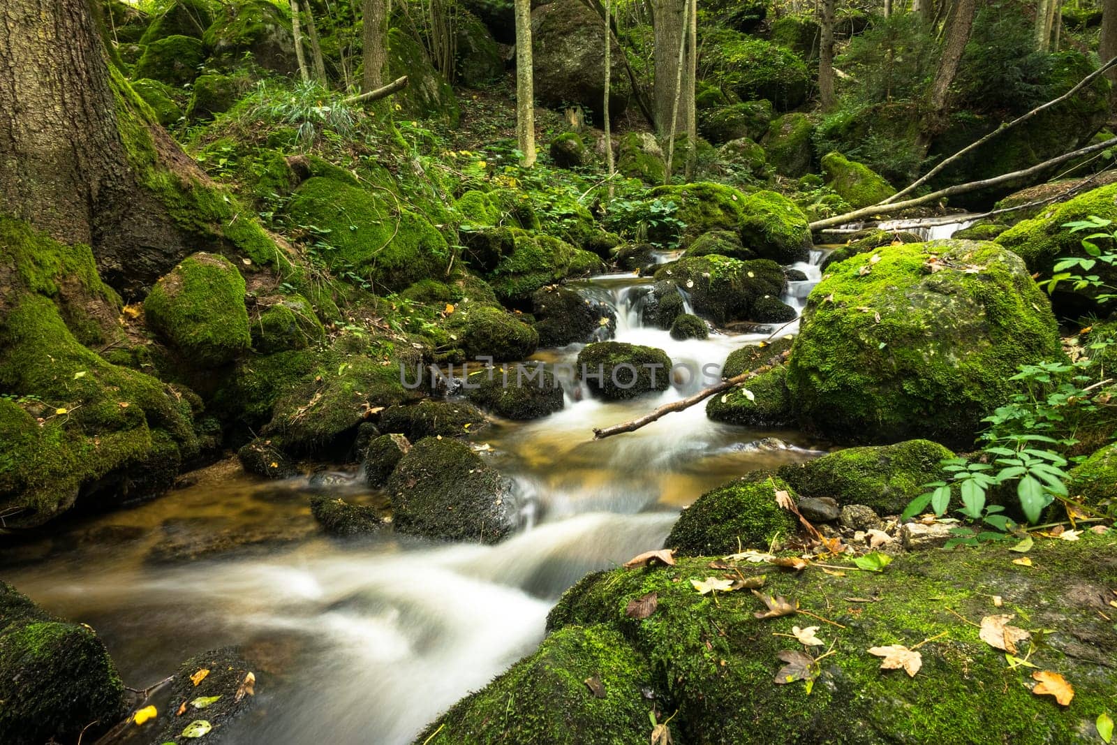 Mountain stream in the forest,running water with moss-covered stones