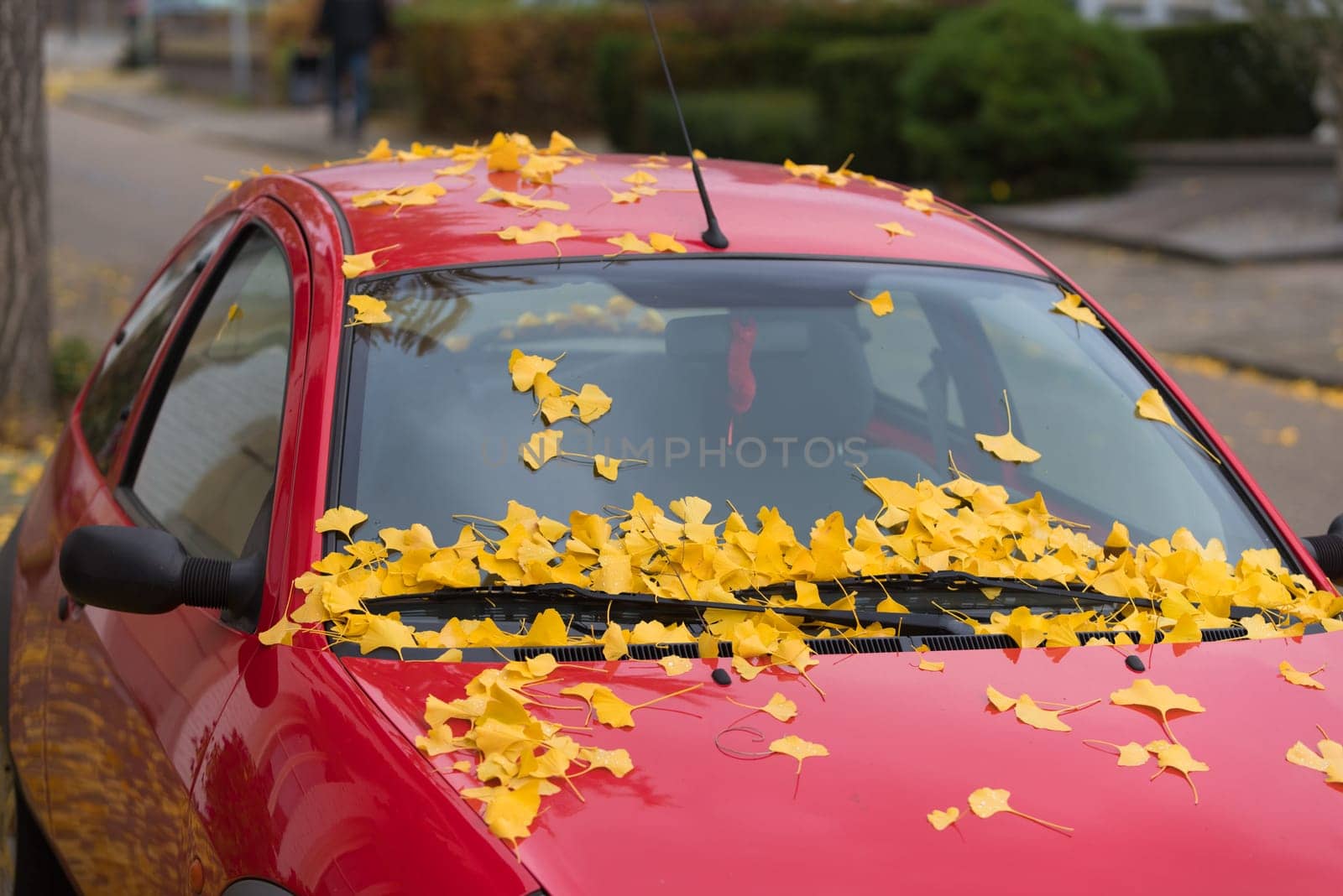 red car covered with fallen autumn leaves