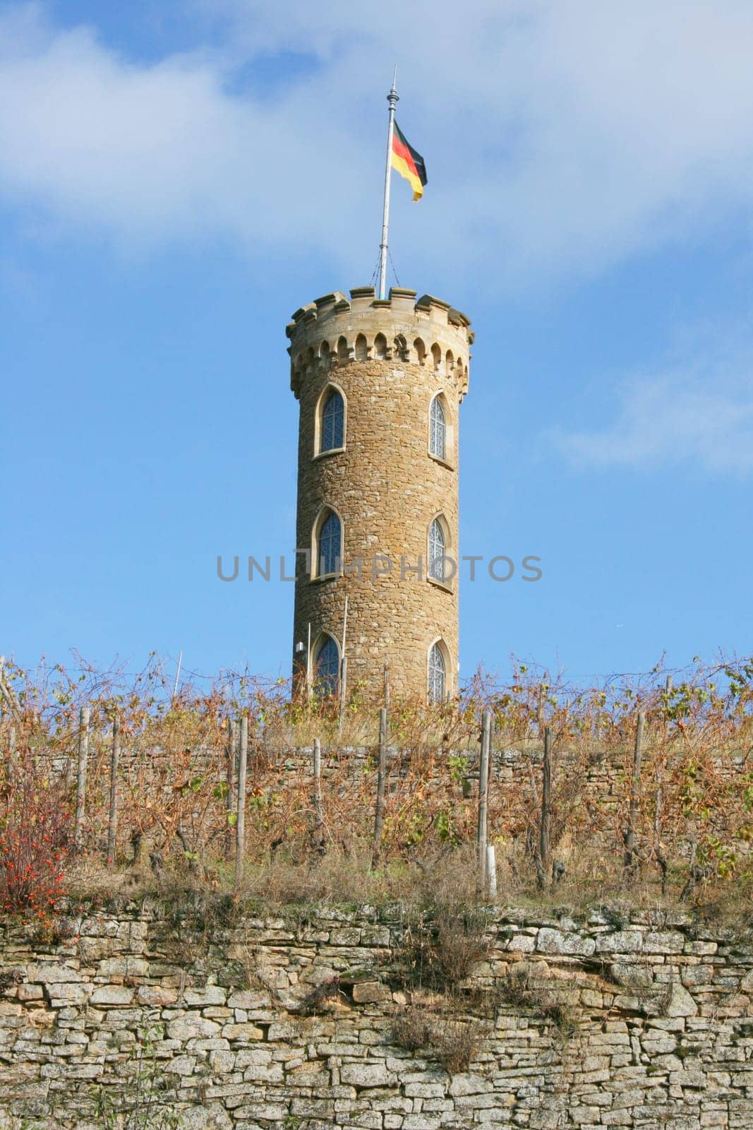 Tower in the vineyard with German flag,and blue sky in the background