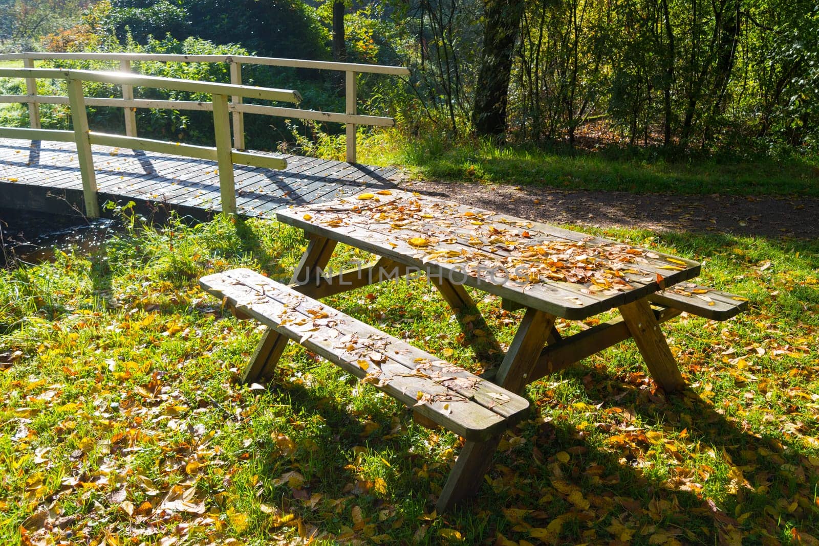 picnic table in an autumn park