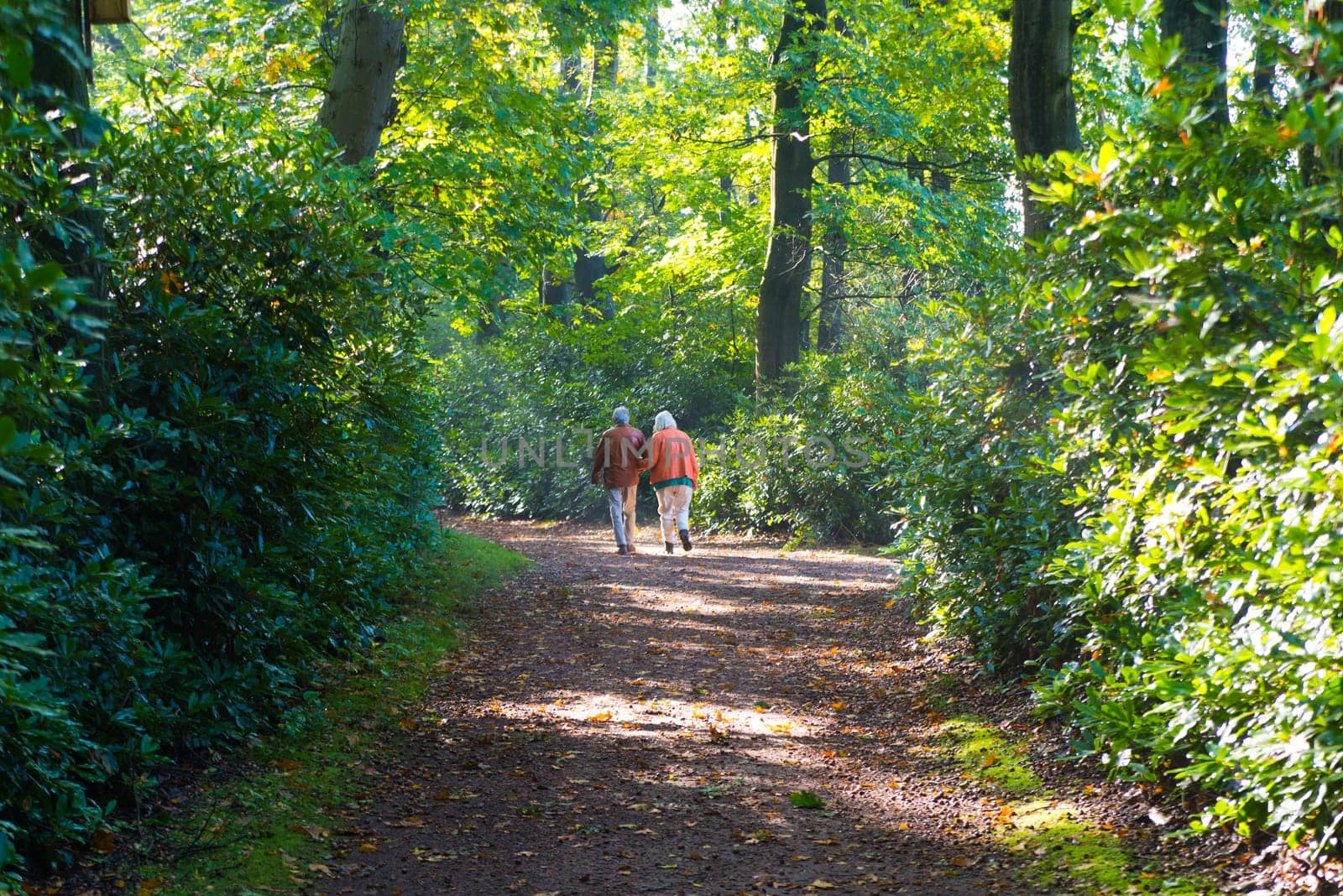 elderly couple enjoying their walk  in a forest