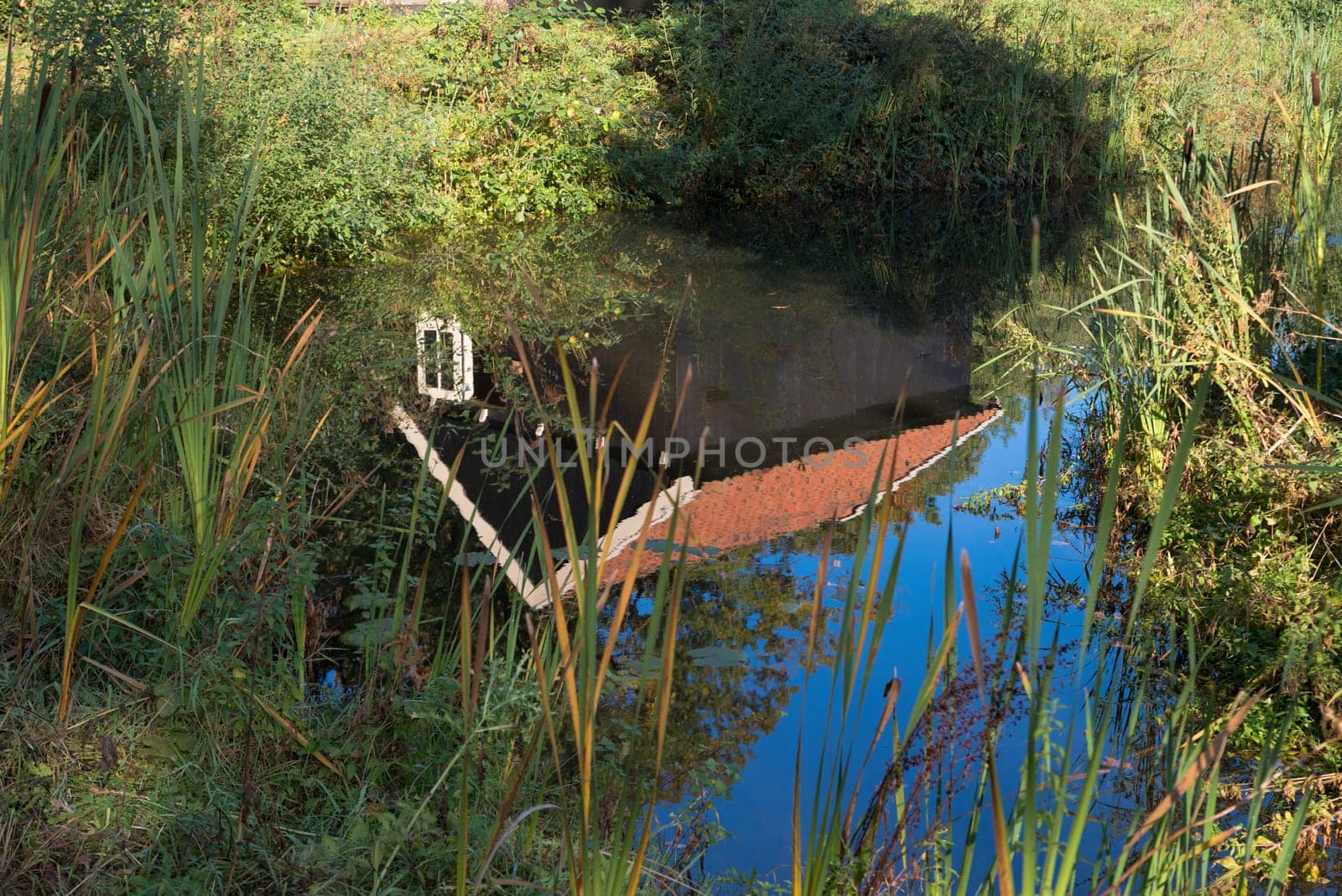 small wooden barn reflected in a pond
