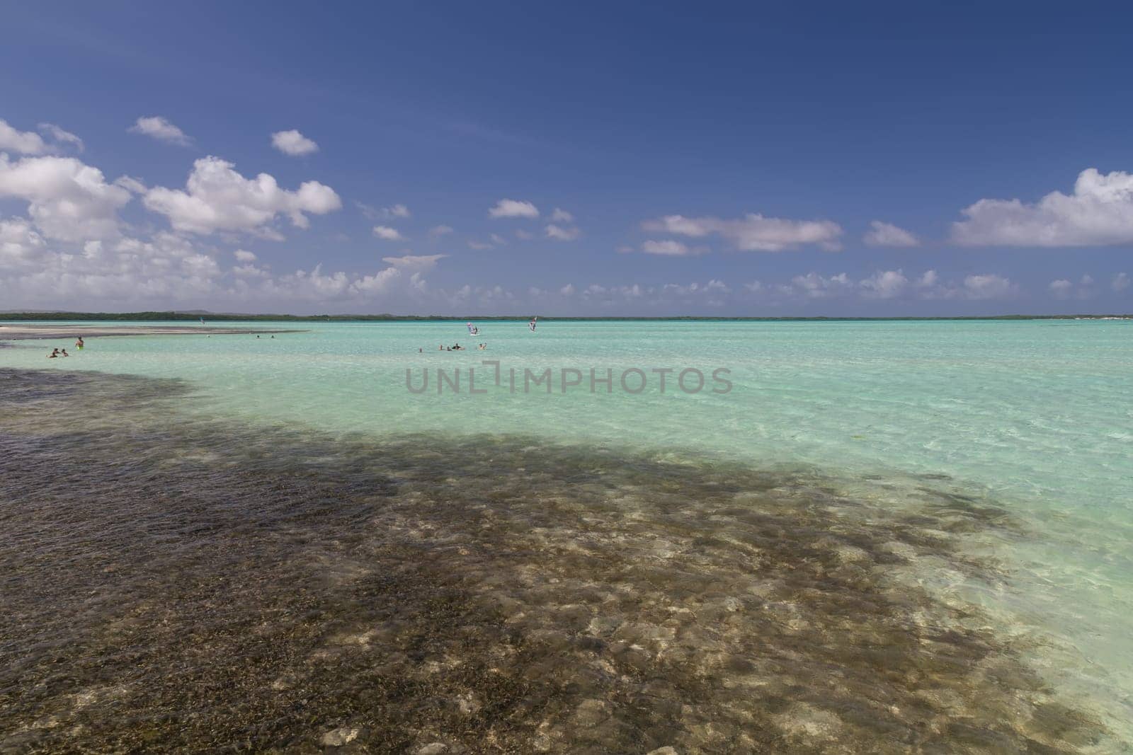 Bonaire island Caribbean sea windsurf lagoon Sorobon