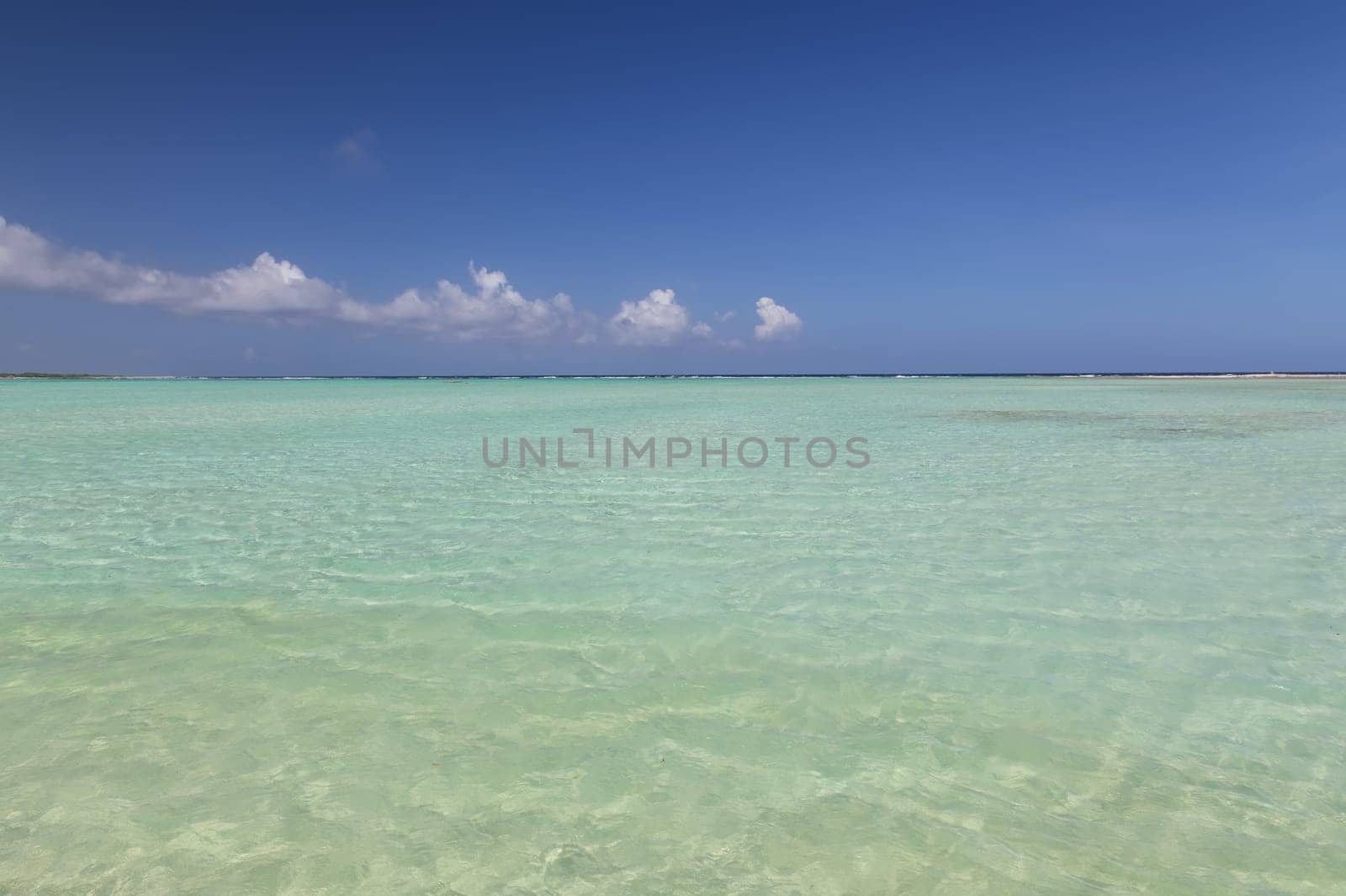 Bonaire island Caribbean sea windsurf lagoon Sorobon