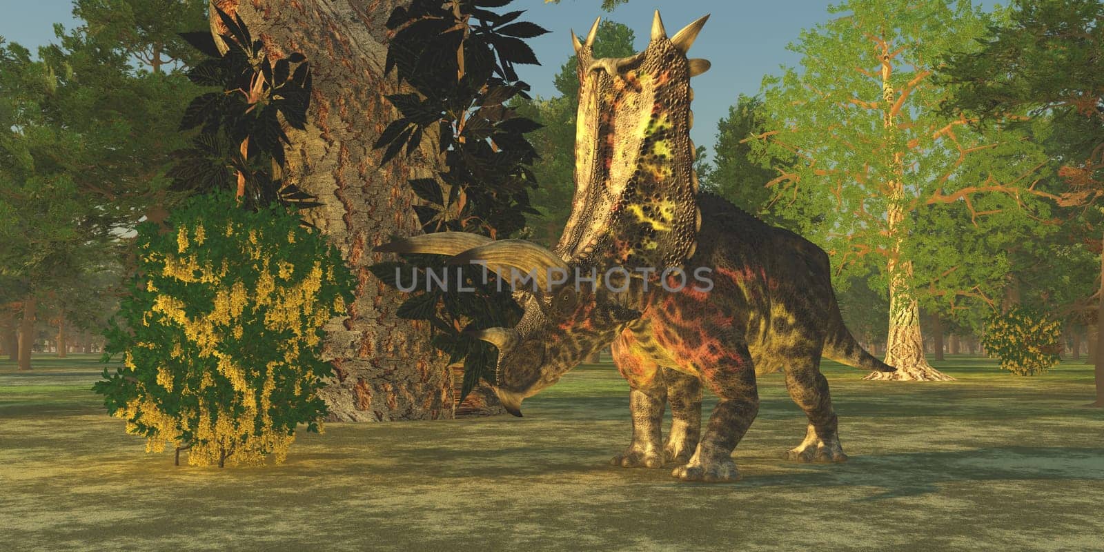 A Pentaceratops dinosaur ambles among forest trees in the Cretaceous Era.