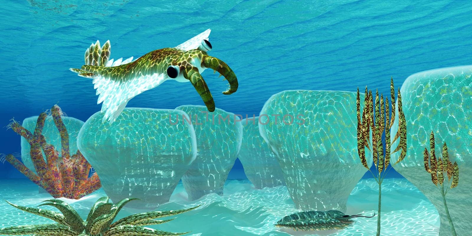 Anomalocaris, an invertebrate predator of Cambrian seas, sneaks up on a Trilobite his favorite prey among Stromatolites.