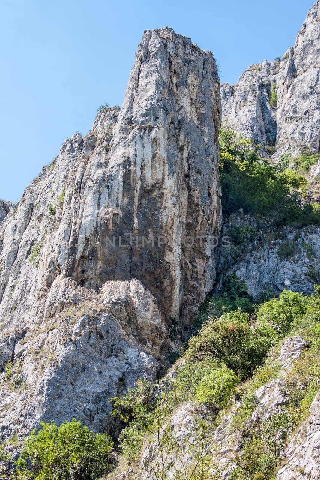 High mountain rock and green bushes