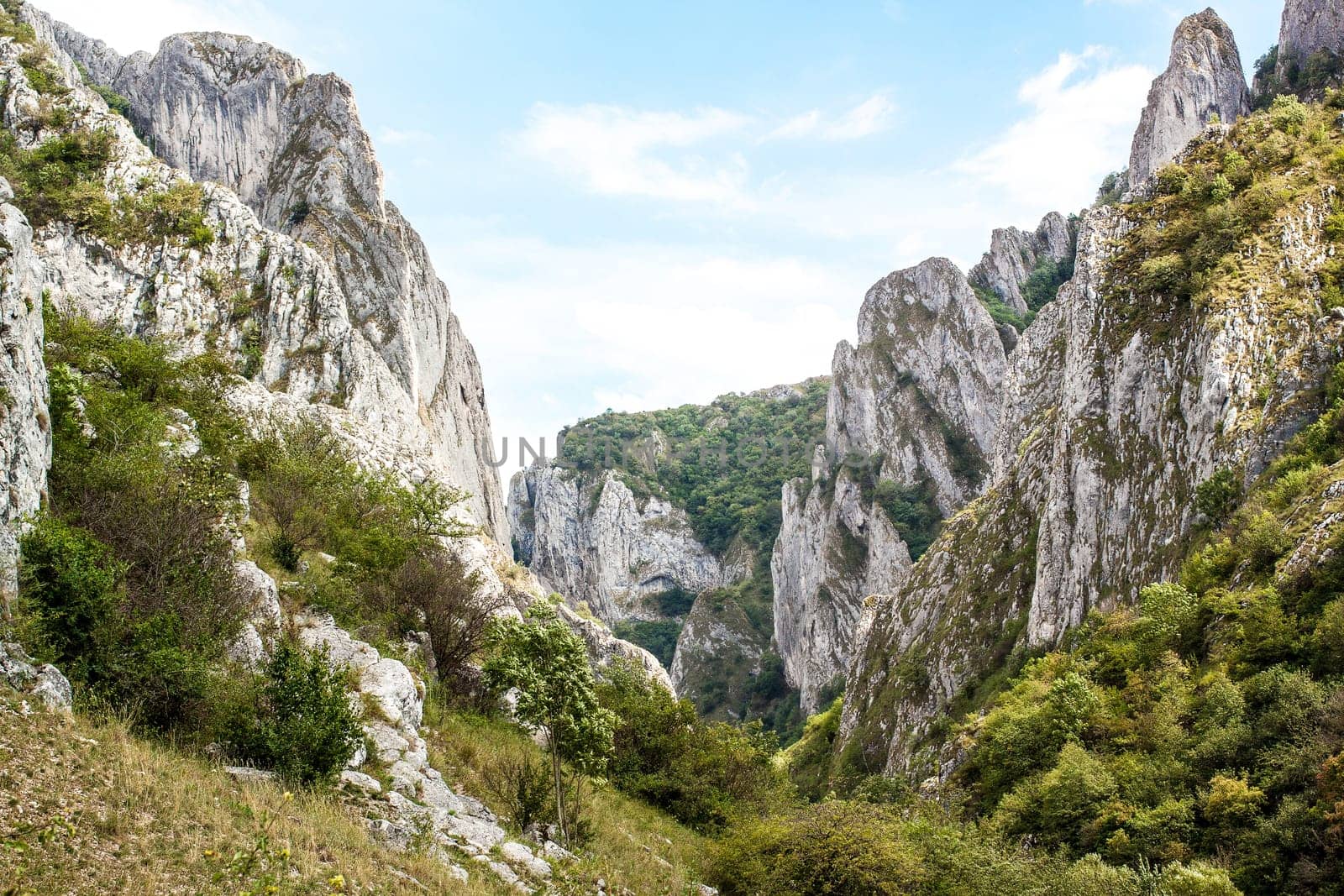 Mountain scenery with rocks and green bushes