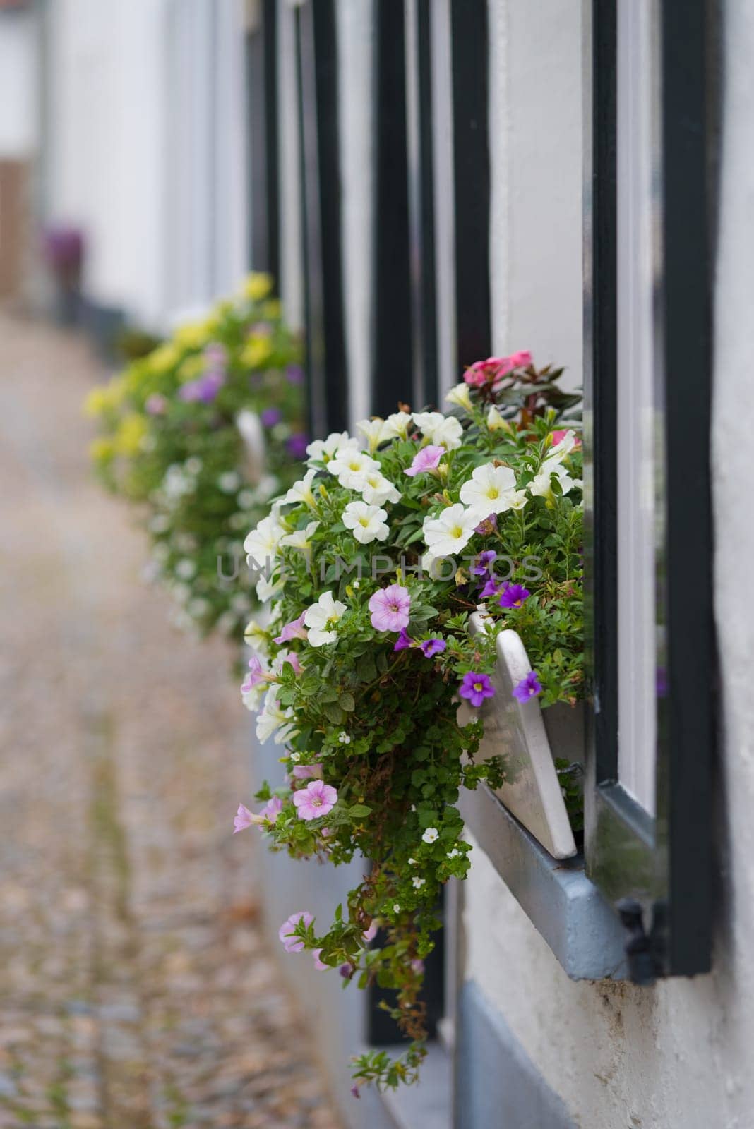 planter with blooming flowers in front of a house