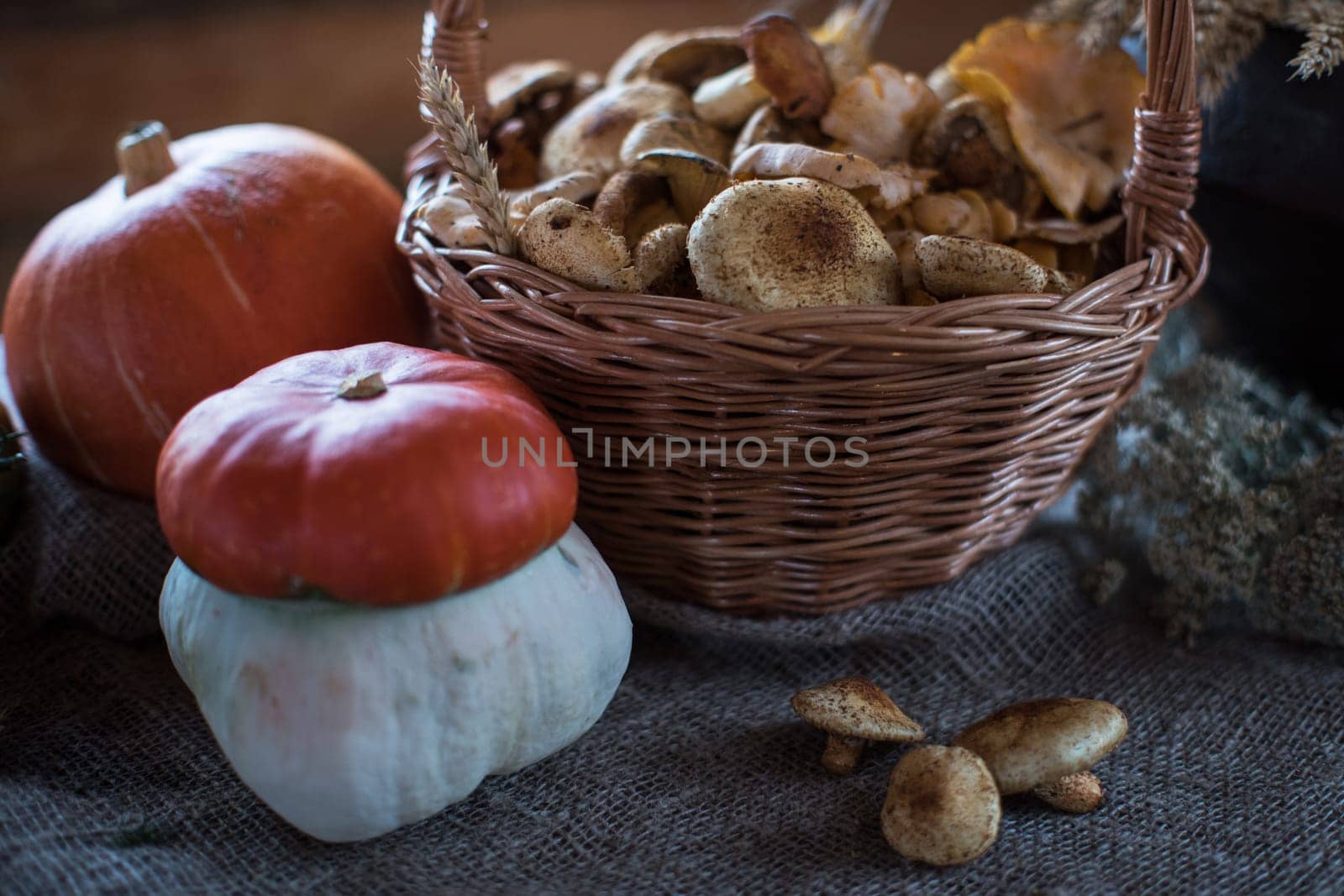 Still life from autumn nature gifts. mushrooms and vegetables