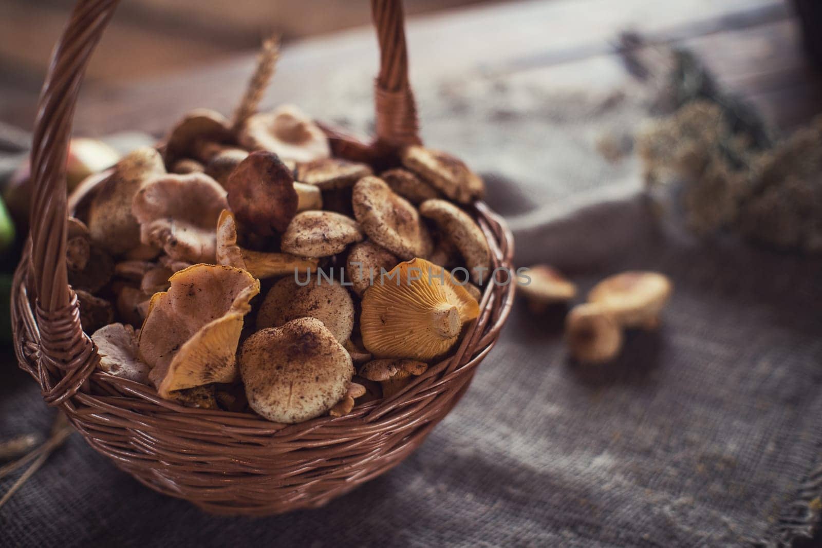 Different mushrooms in the basket