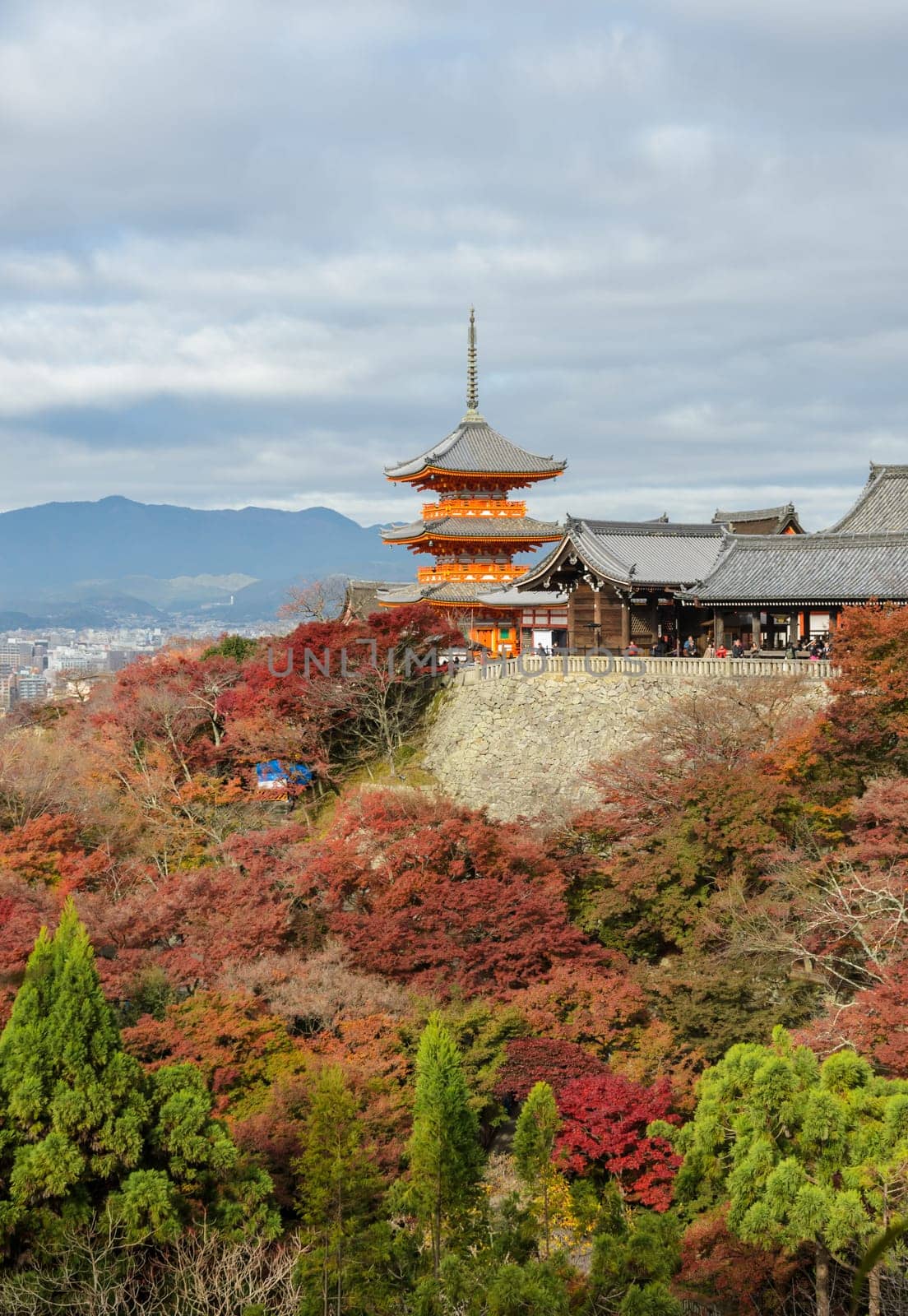 Beautiful autumn color view of Kiyomizu-dera Temple in Kyoto, Japan