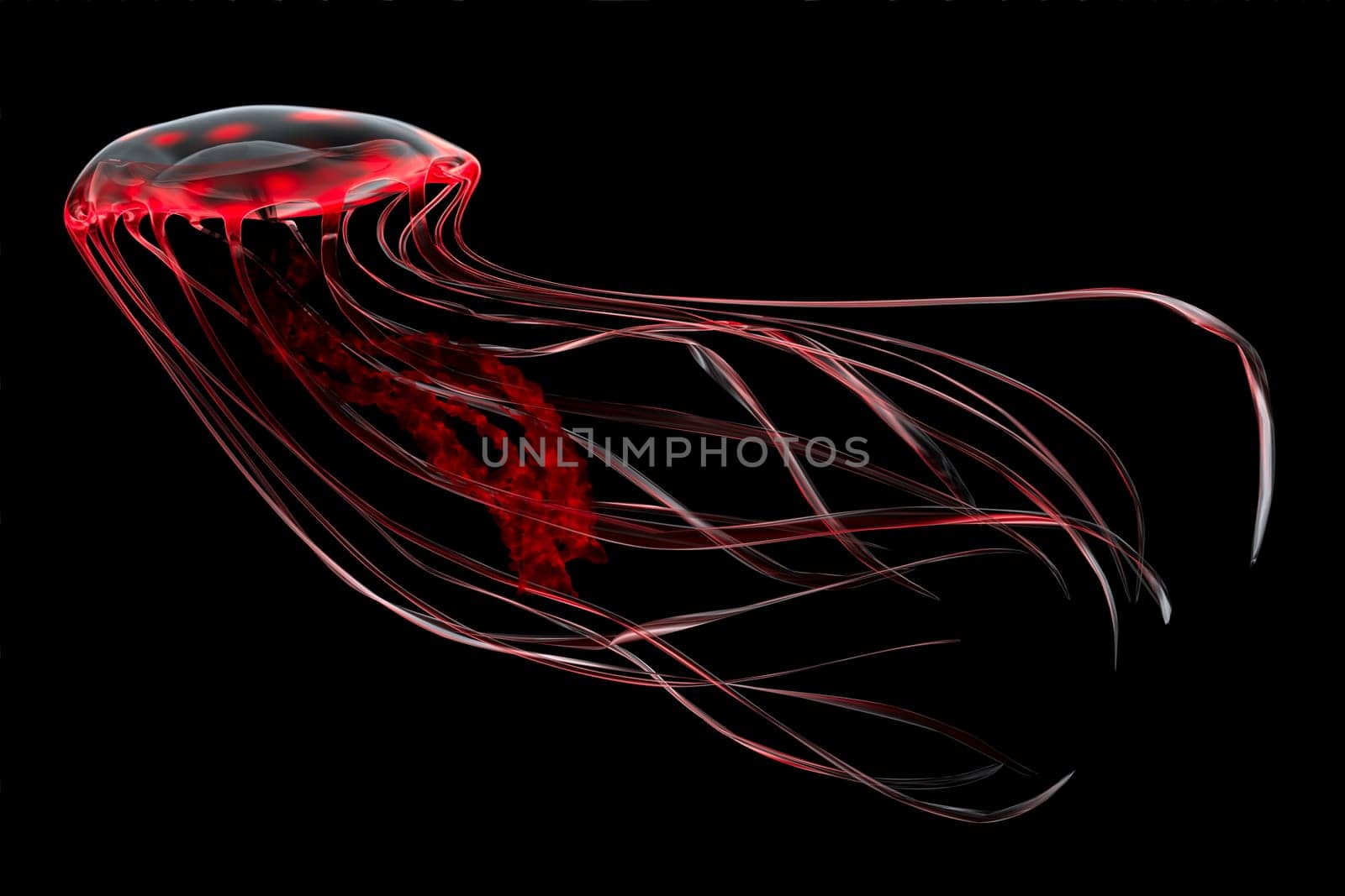 An bioluminescent red jellyfish glows in the darkness of the deep ocean.