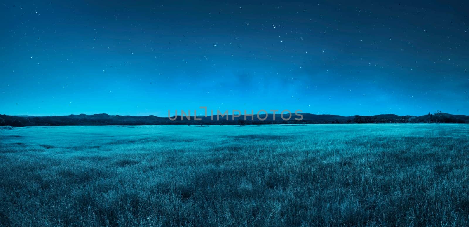 Image of meadow landscape at night time