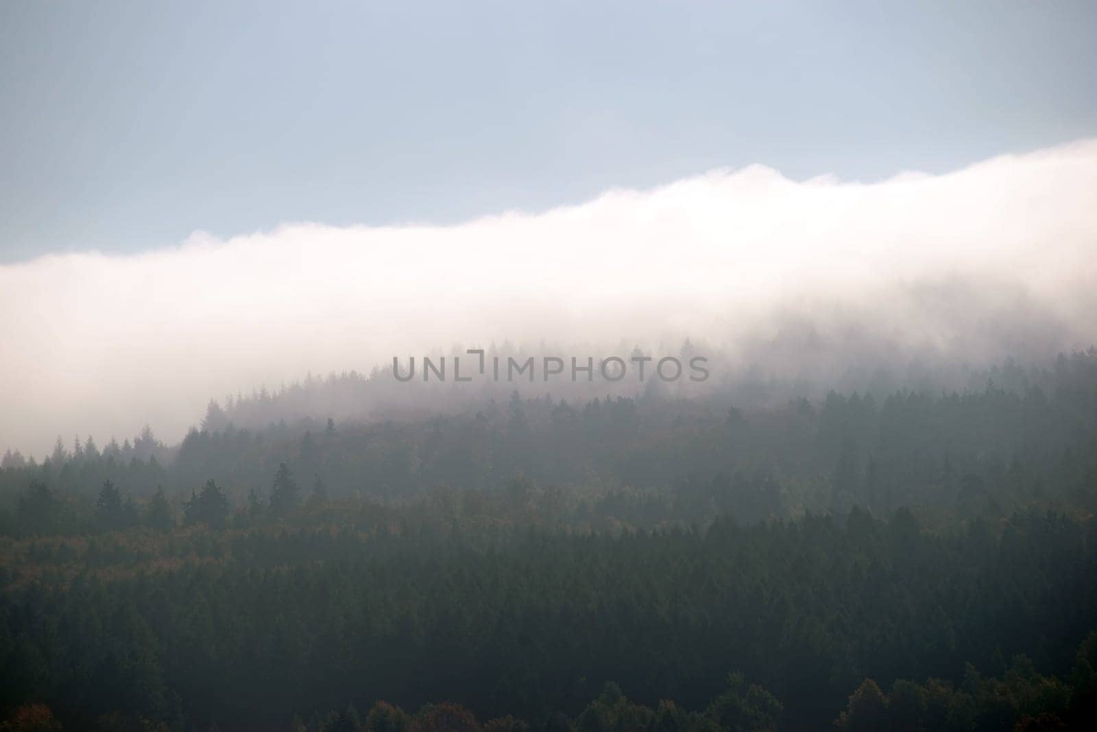 Clouds and fog bands move over the forested ridges of a mountain range.