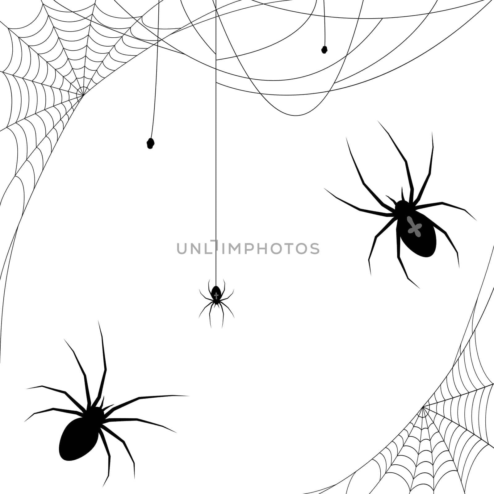 collection of different illustrated spider webs and some spiders black colored for Halloween layouts