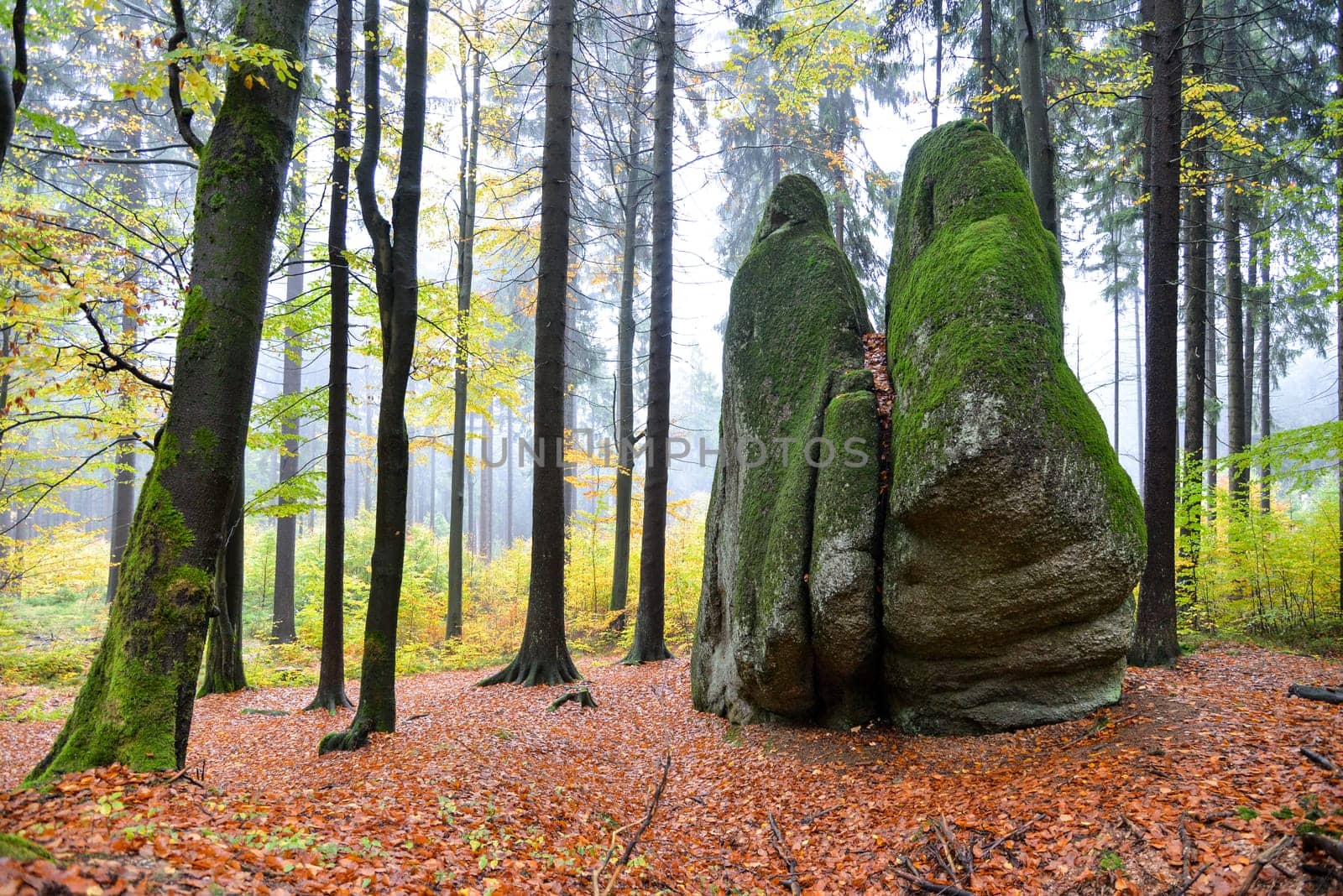 Photo Forest in autumn Granite rocks Fichtelgebirge